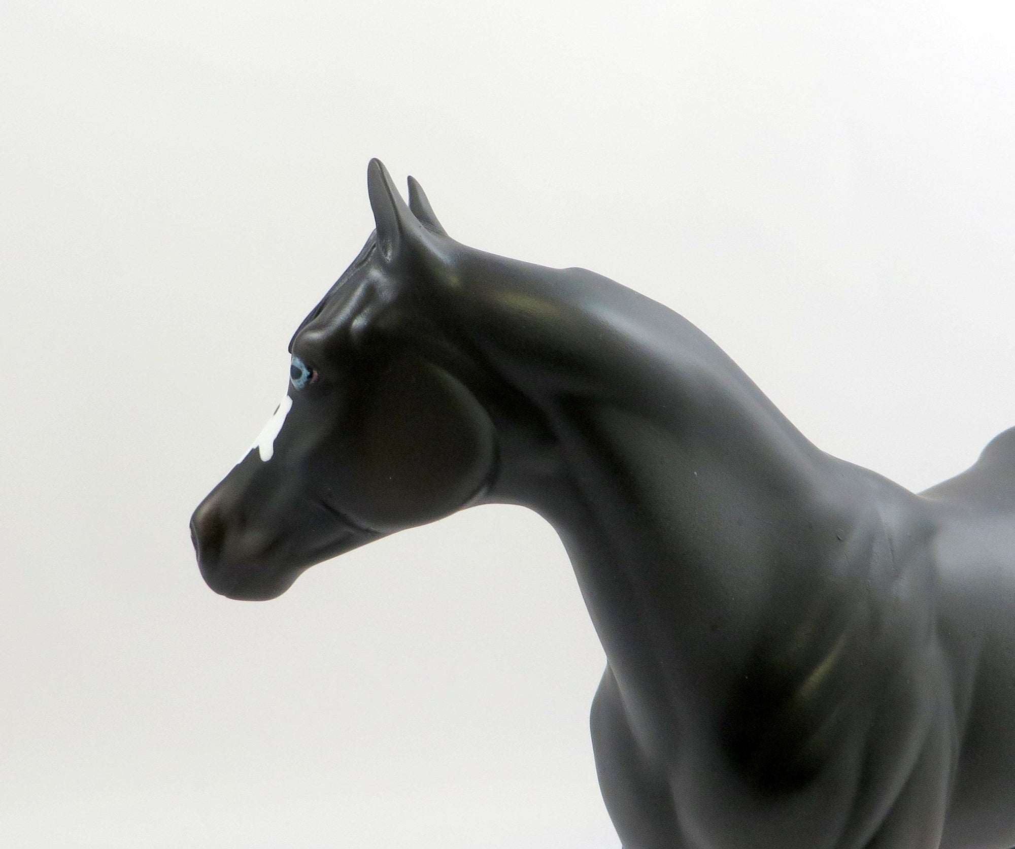 MOVING VIOLATION-OOAK BLACK PAINT ISH MODEL HORSE 6/14/19