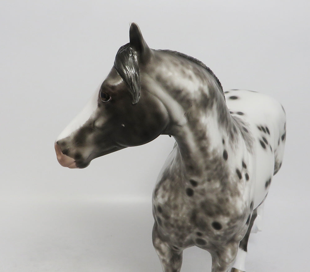 WOBBERGONG-OOAK BLACK APPALOOSA ISH BY SHERYL LEISURE 9/21/18
