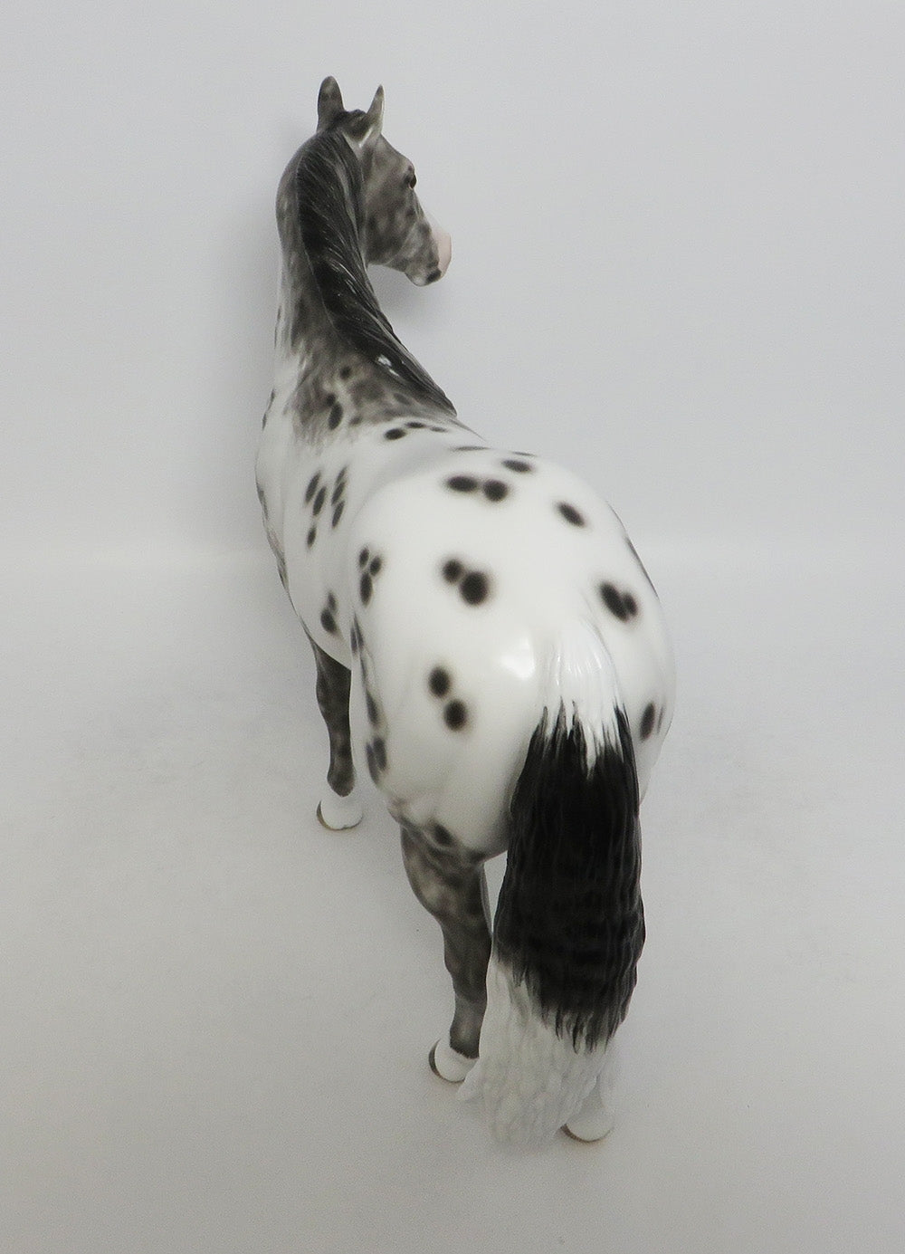 WOBBERGONG-OOAK BLACK APPALOOSA ISH BY SHERYL LEISURE 9/21/18