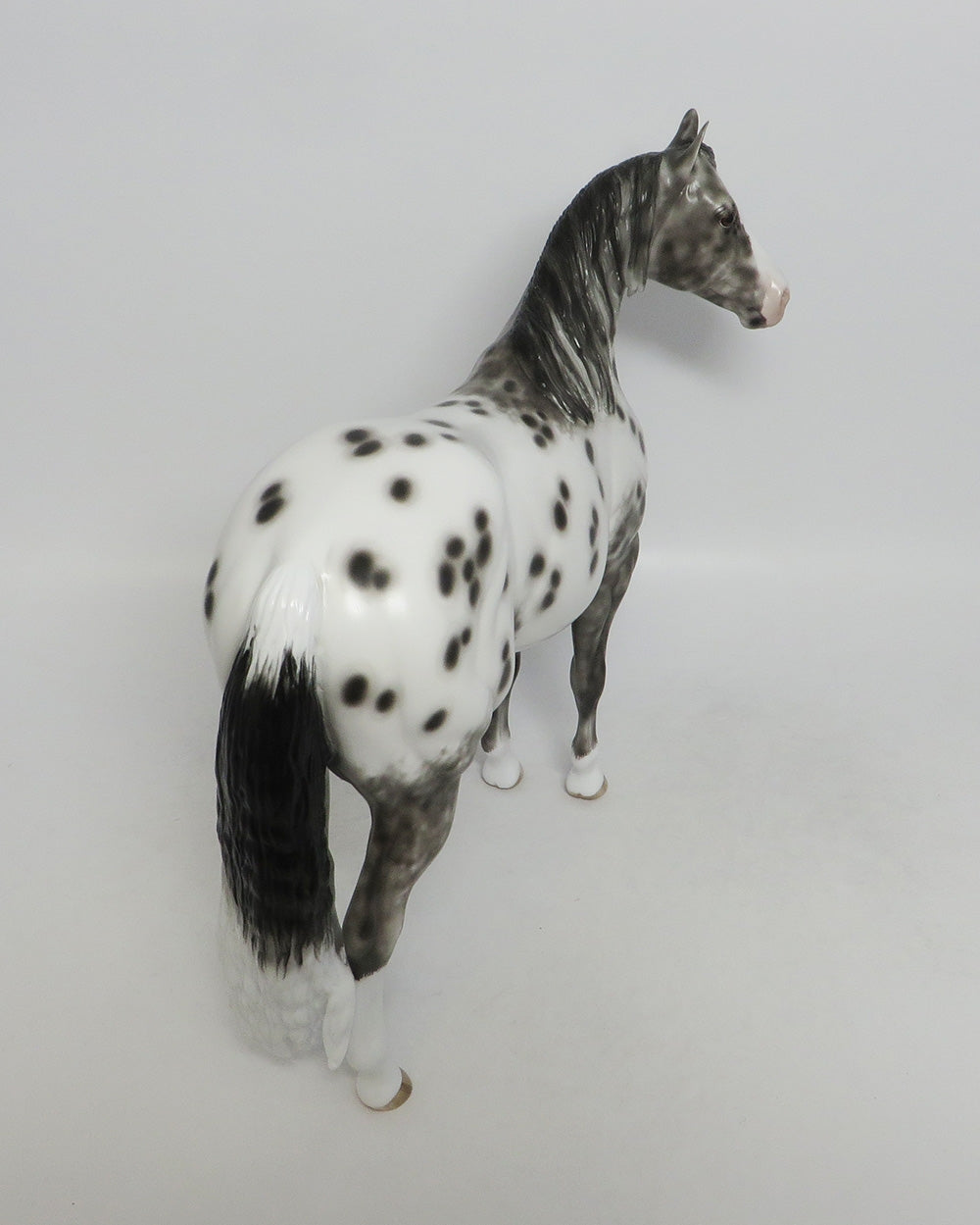 WOBBERGONG-OOAK BLACK APPALOOSA ISH BY SHERYL LEISURE 9/21/18