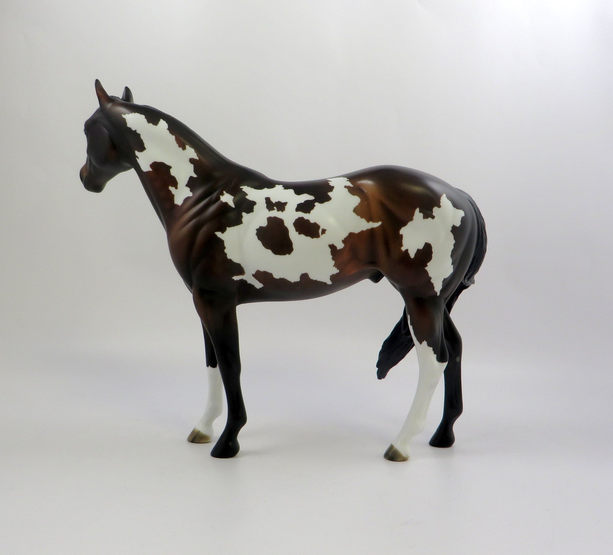 PAYDAY - OOAK BAY PINTO ISH MODEL HORSE 6/14/19