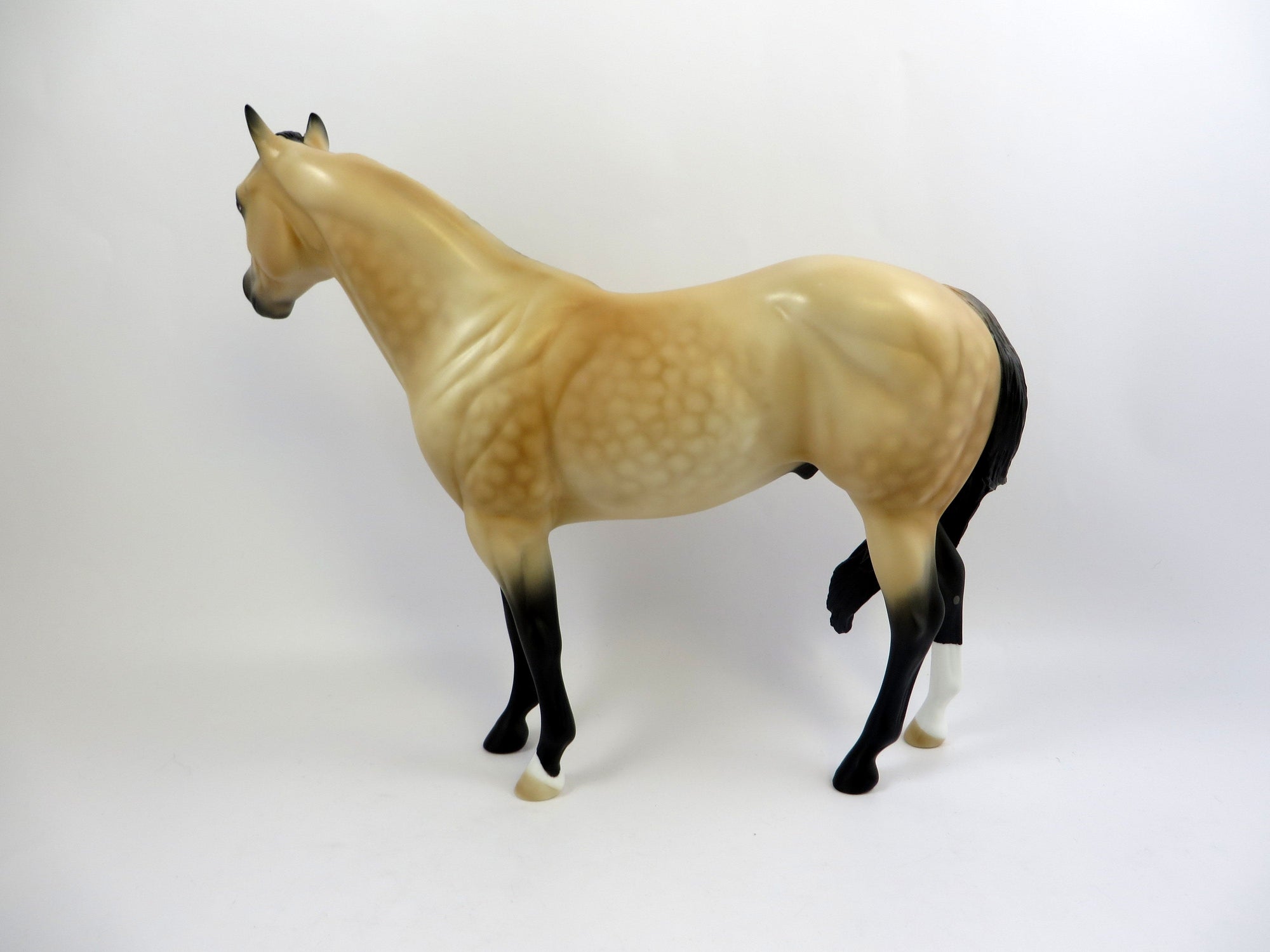 CASH ME OUTSIDE-OOAK DAPPLE BUCKSKIN ISH MODEL HORSE 6/14/19