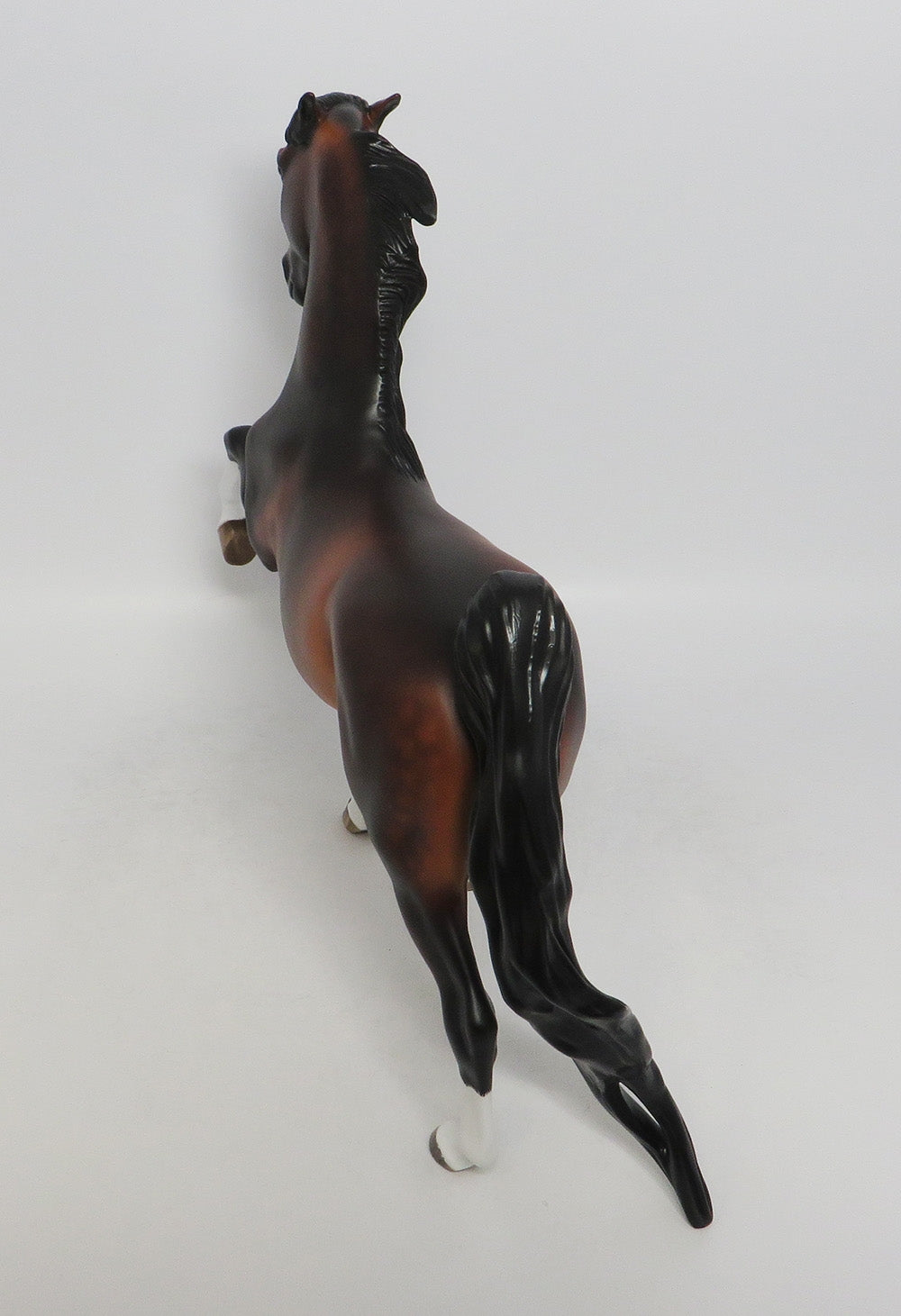 GOBLIN- OOAK DAPPALE BAY SADDLEBRED BY SHERYL LESUIRE 9/21/2018