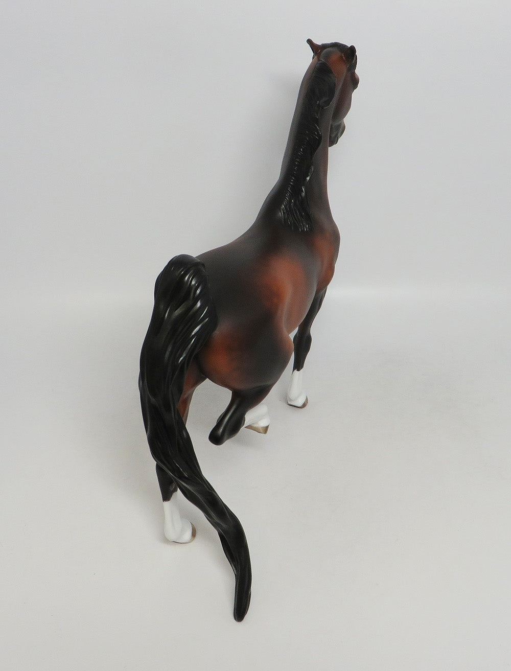 GOBLIN- OOAK DAPPALE BAY SADDLEBRED BY SHERYL LESUIRE 9/21/2018