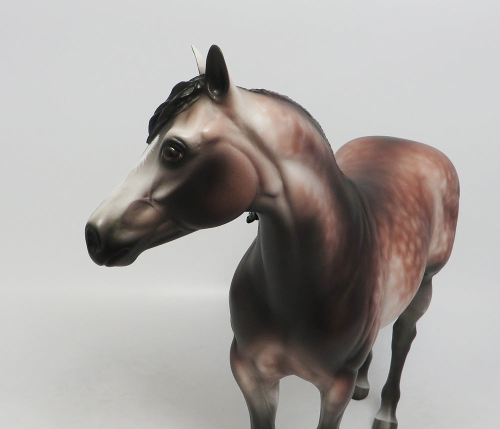 GOLLUMSHARK-OOAK DAPPLE ROSE GREY ISH SHERYL LEISURE 9/21/18