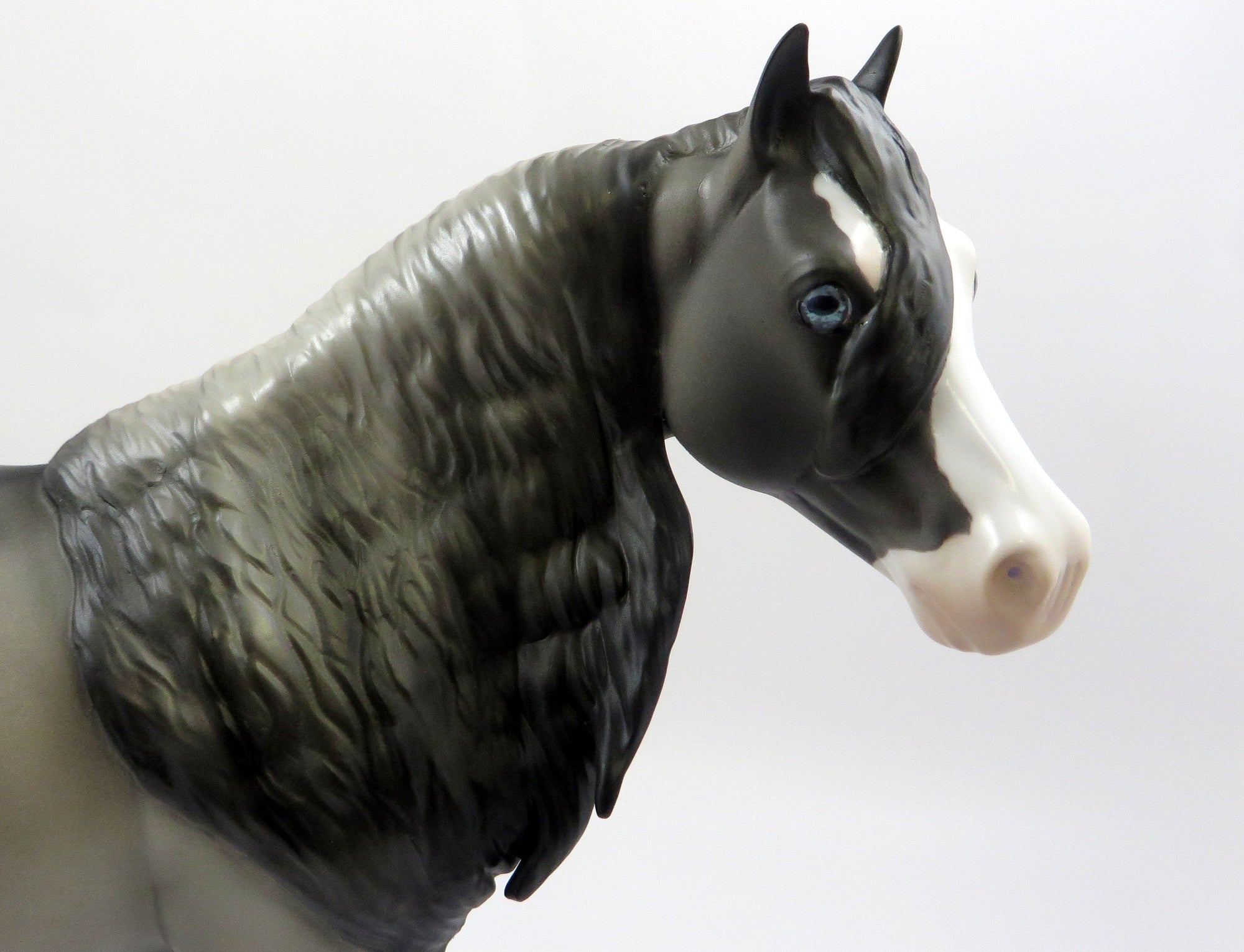 MONEY MONEY MONEY-OOAK GRULLA ISH MODEL HORSE 6/14/19