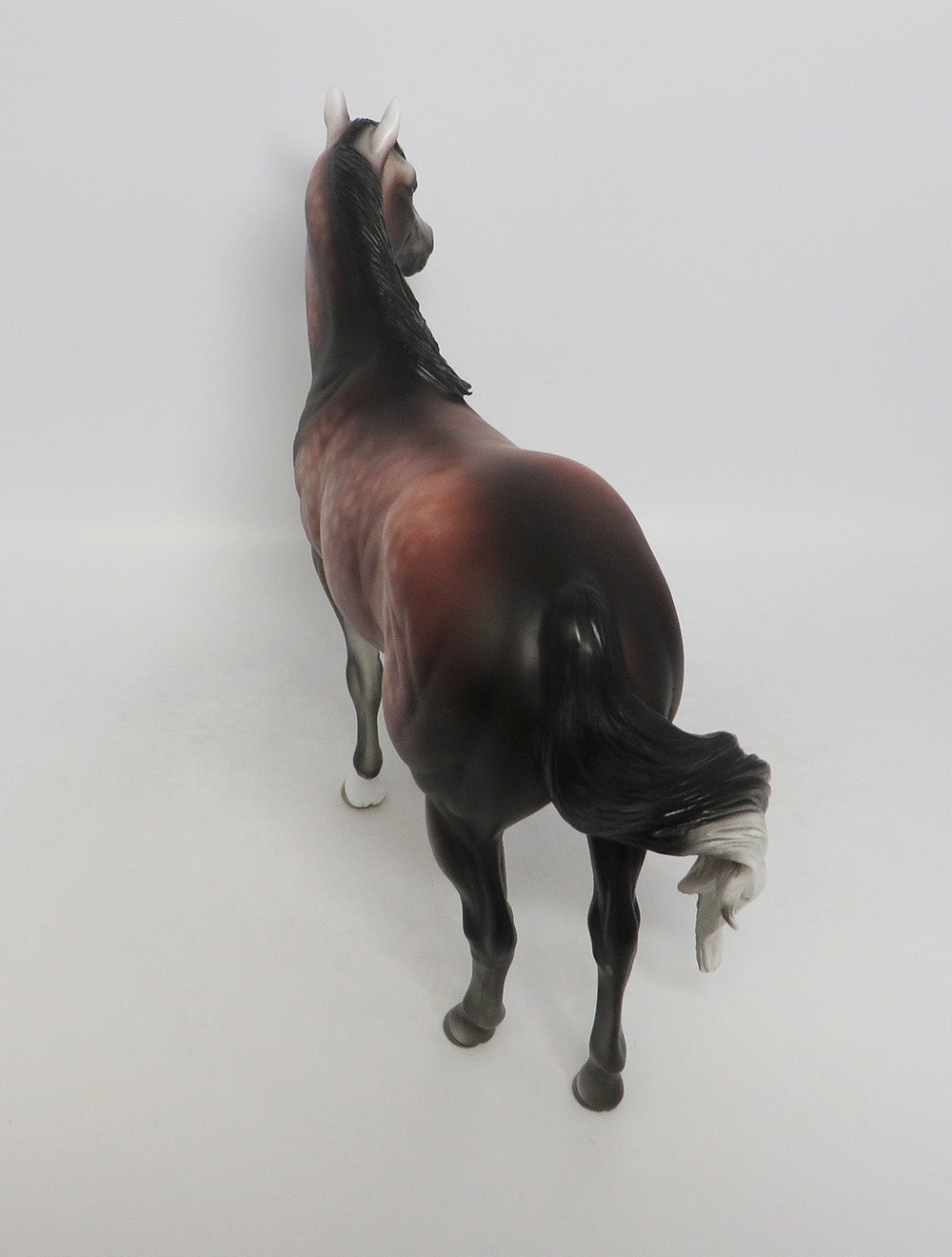 GOLLUMSHARK-OOAK DAPPLE ROSE GREY ISH SHERYL LEISURE 9/21/18