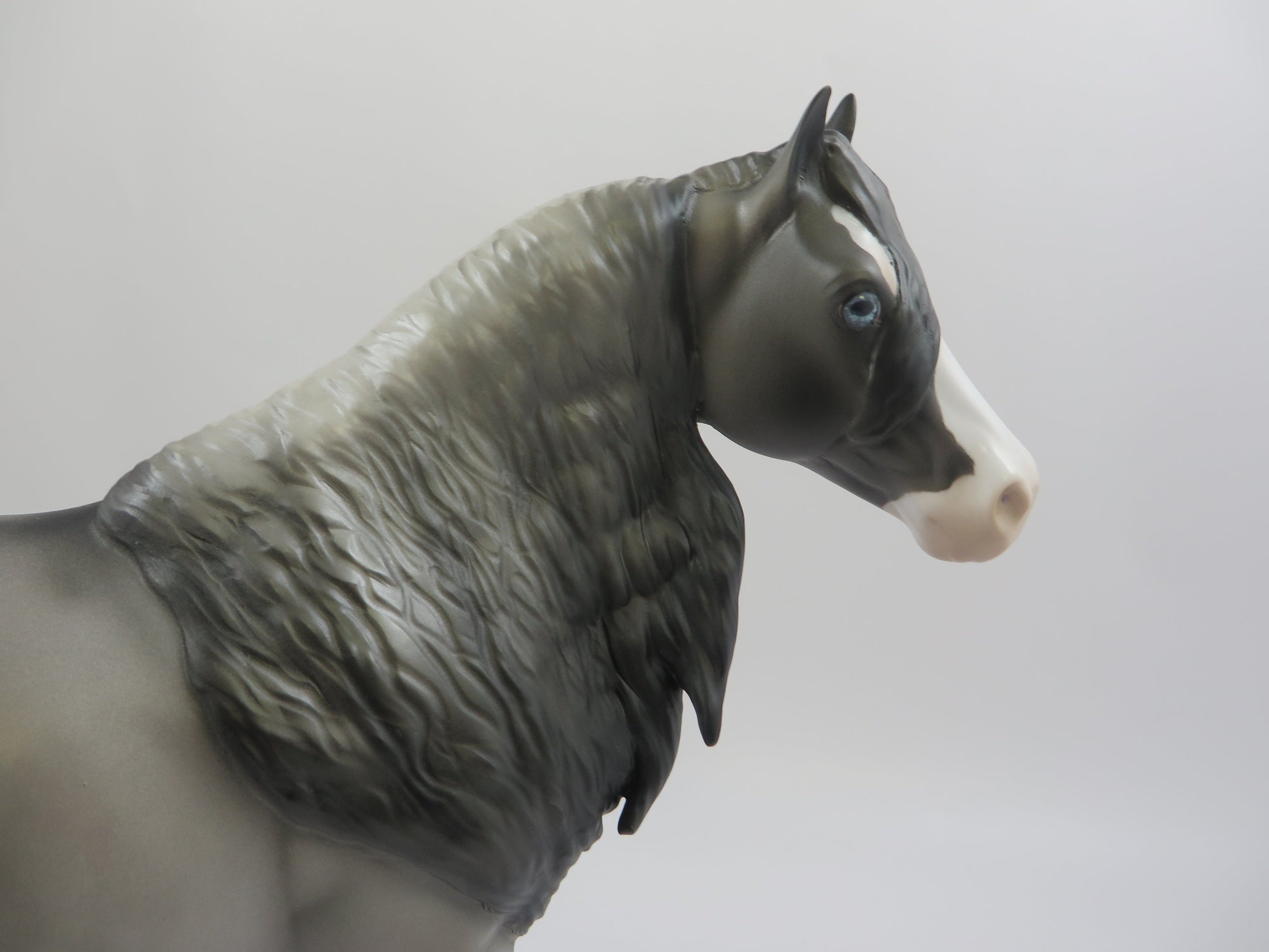 MONEY MONEY MONEY-OOAK GRULLA ISH MODEL HORSE 6/14/19