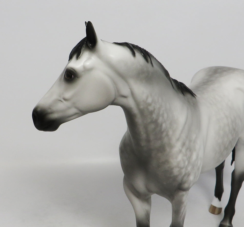 PANAMA GHOST-OOAK STAR DAPPLE GREY ISH BY SHERYL LEISURE 9/21/18