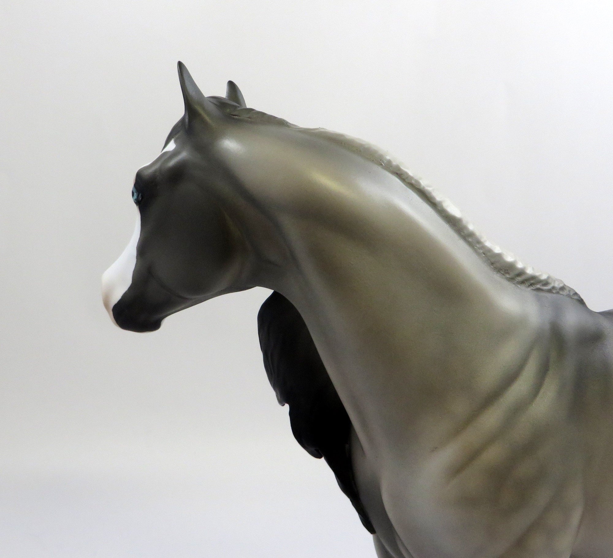 MONEY MONEY MONEY-OOAK GRULLA ISH MODEL HORSE 6/14/19