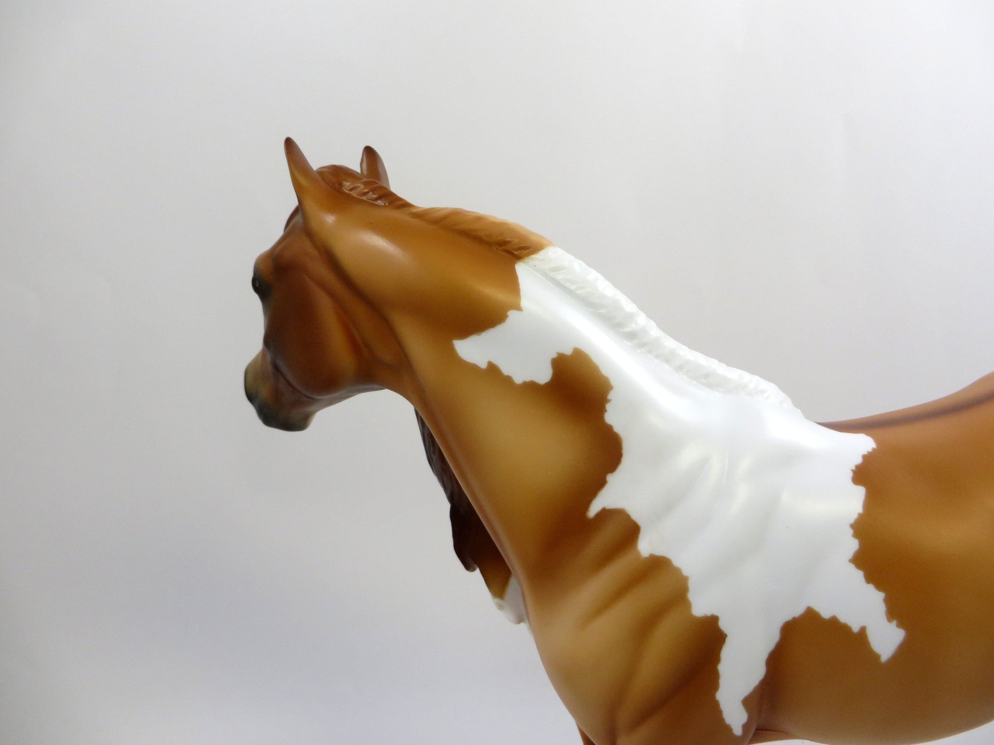 MONEY TALKS-OOAK RED DUN PINTO ISH MODEL HORSE 6/17/19