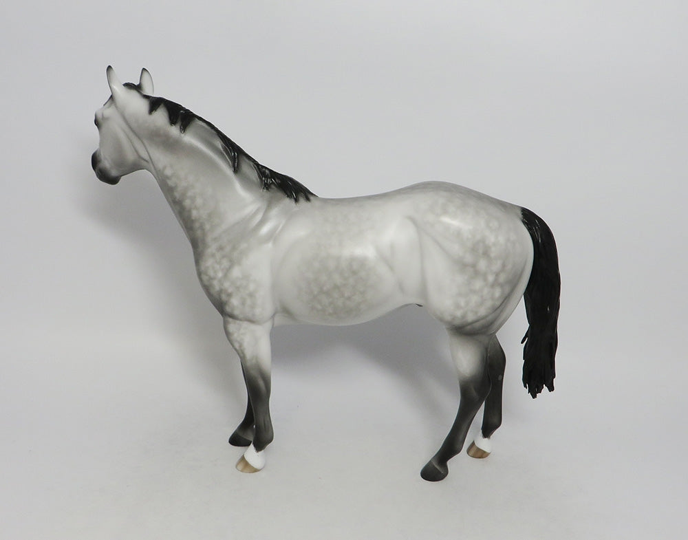 PANAMA GHOST-OOAK STAR DAPPLE GREY ISH BY SHERYL LEISURE 9/21/18