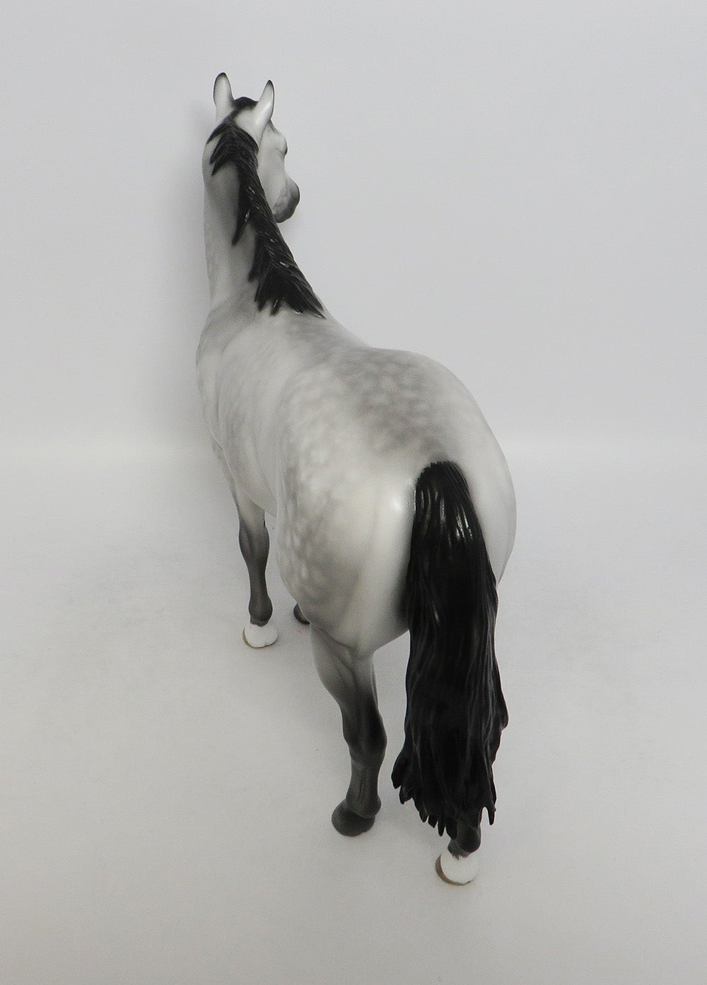 PANAMA GHOST-OOAK STAR DAPPLE GREY ISH BY SHERYL LEISURE 9/21/18