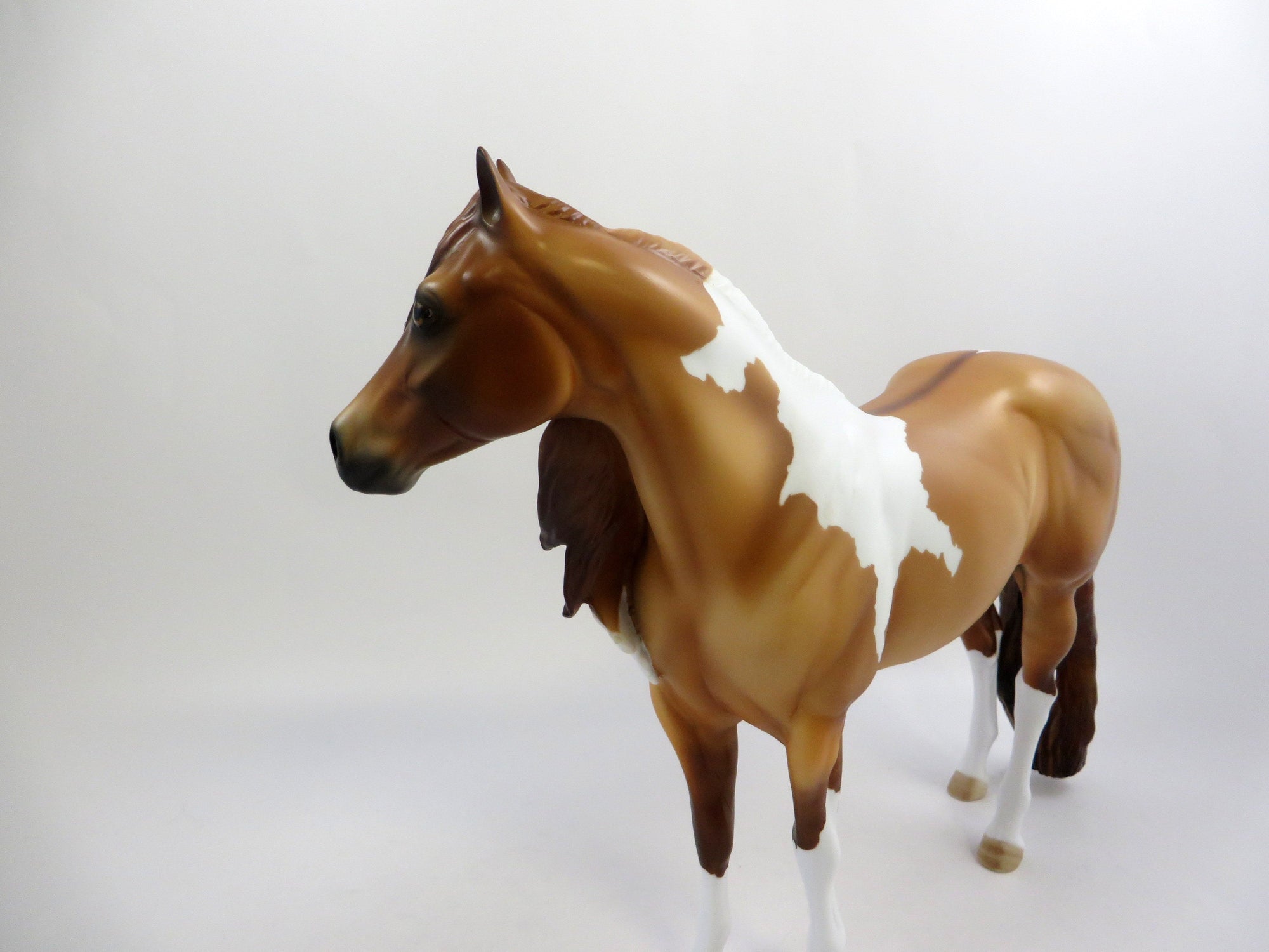 MONEY TALKS-OOAK RED DUN PINTO ISH MODEL HORSE 6/17/19