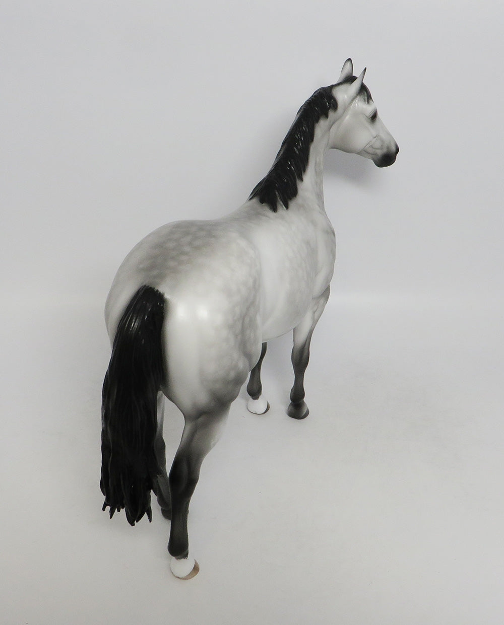 PANAMA GHOST-OOAK STAR DAPPLE GREY ISH BY SHERYL LEISURE 9/21/18