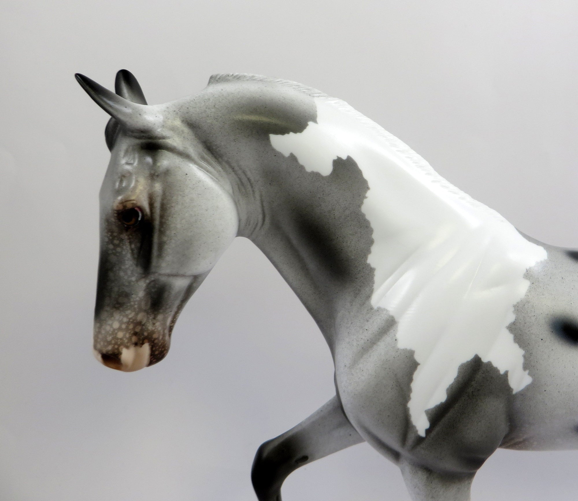 JESTER-OOAK PINTALOOSA TENNESSEE WALKER MODEL HORSE EQ 2019