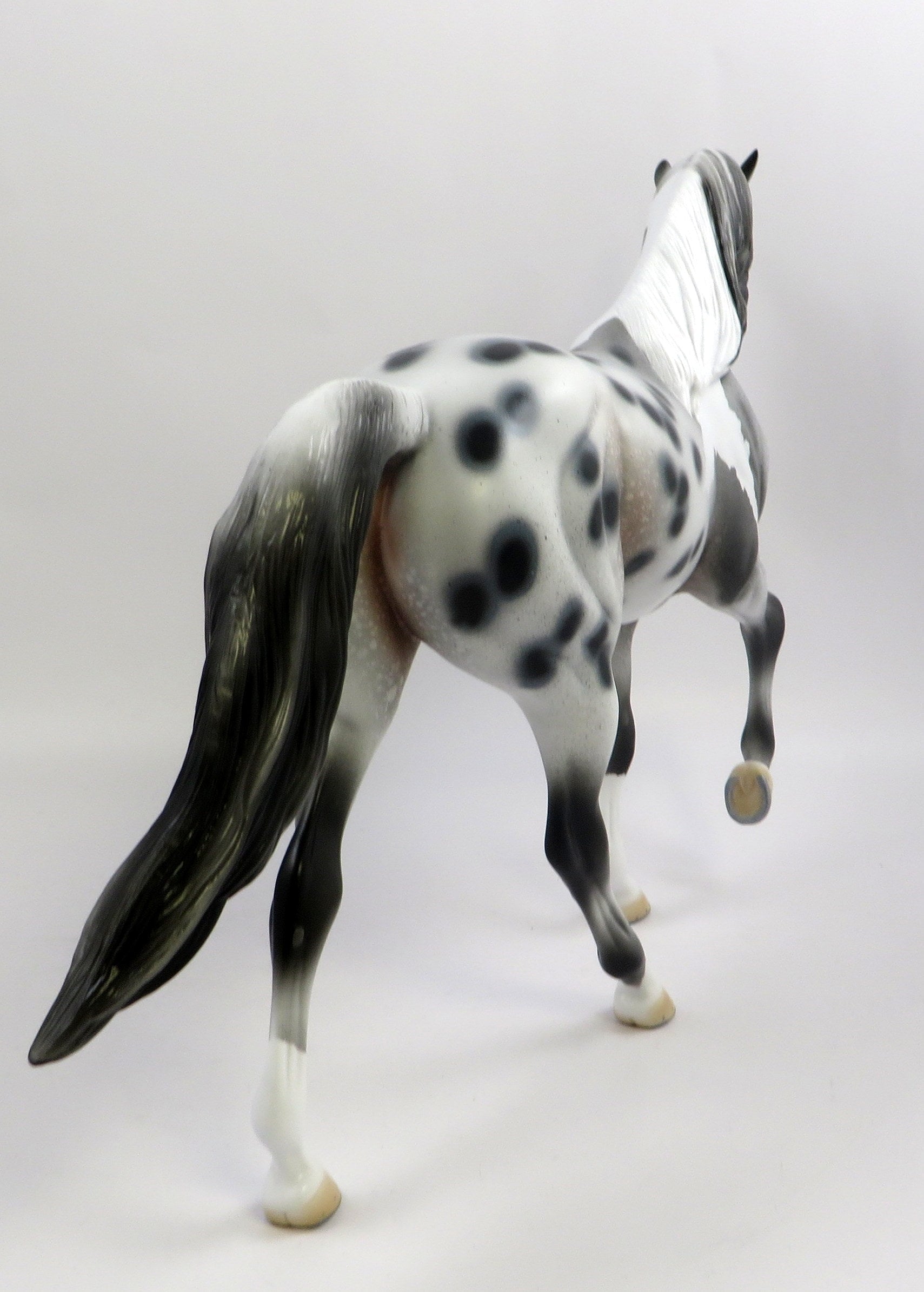 JESTER-OOAK PINTALOOSA TENNESSEE WALKER MODEL HORSE EQ 2019