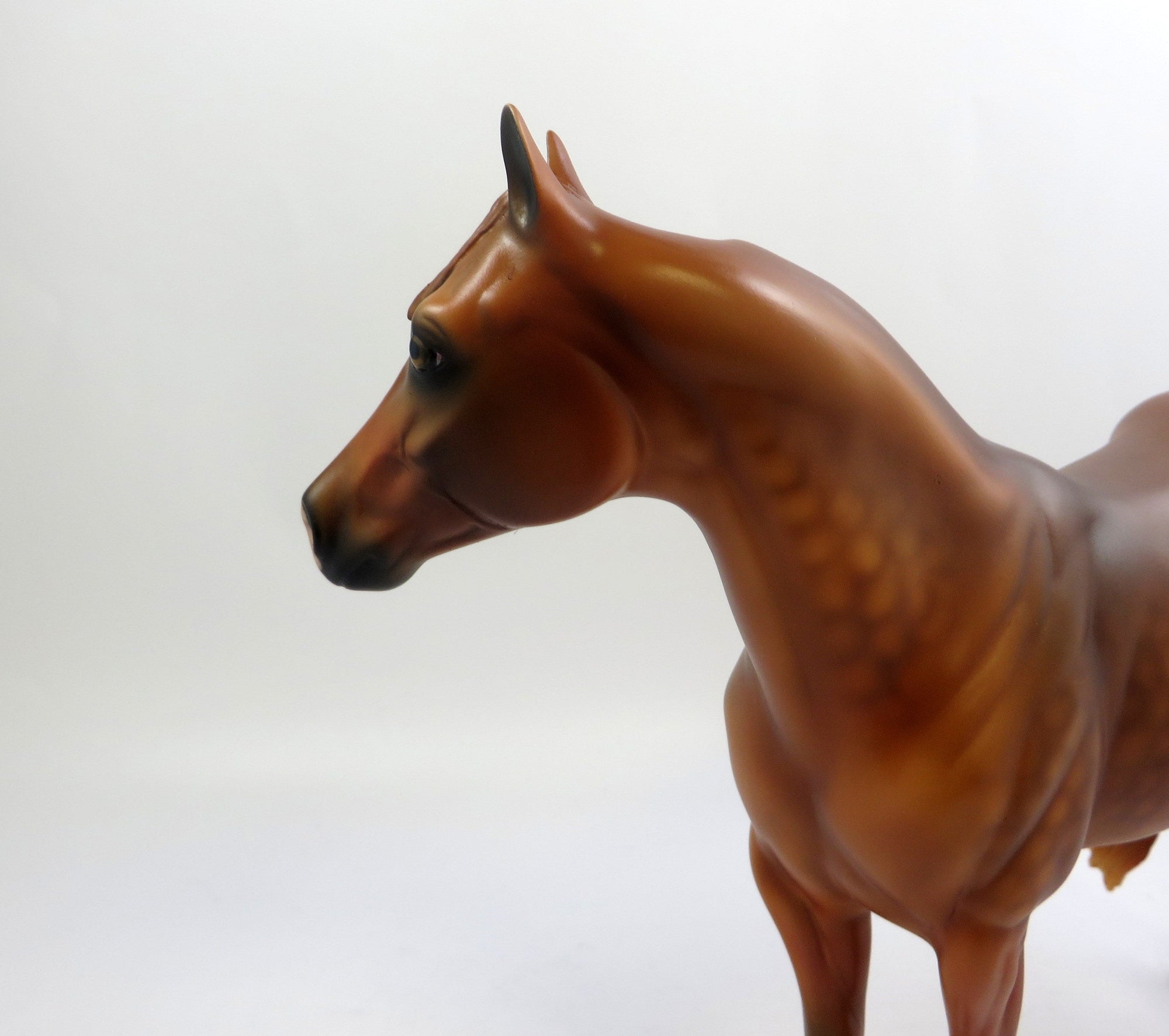 CHECKS IN THE MAIL-OOAK DAPPLE CHESTNUT ISH MODEL HORSE 6/14/19