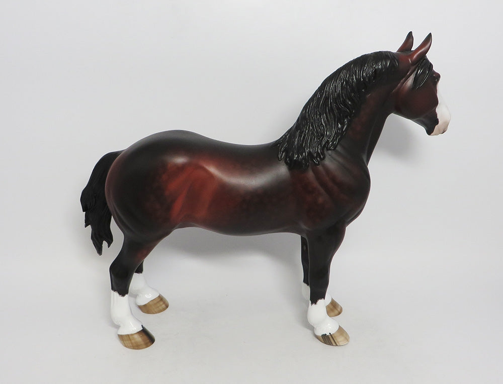 BULL-OOAK MOHOGANY BAY DAPPLE STANDING DRAFT BY SHERYL LESUIRE 9/21/2018