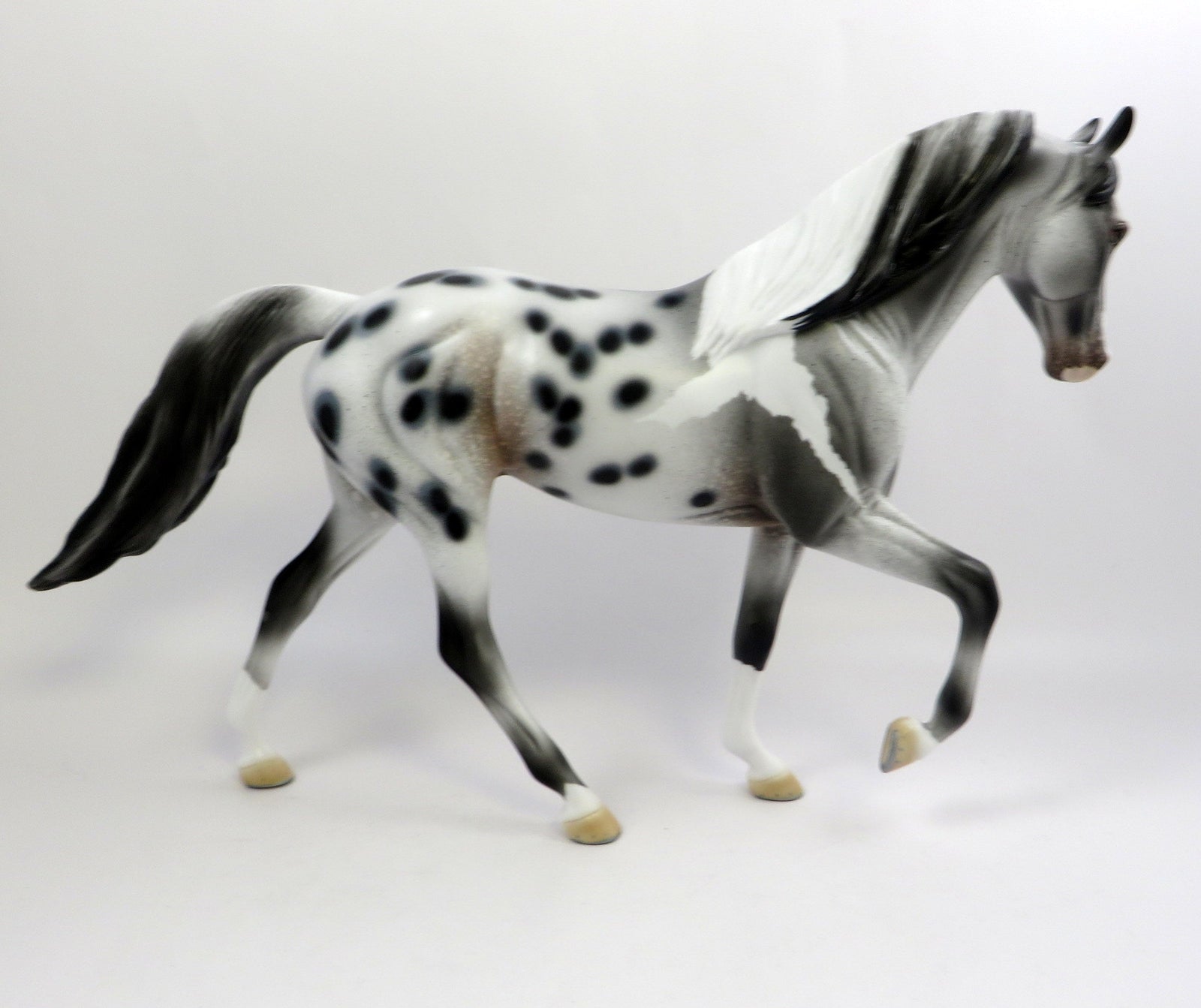 JESTER-OOAK PINTALOOSA TENNESSEE WALKER MODEL HORSE EQ 2019