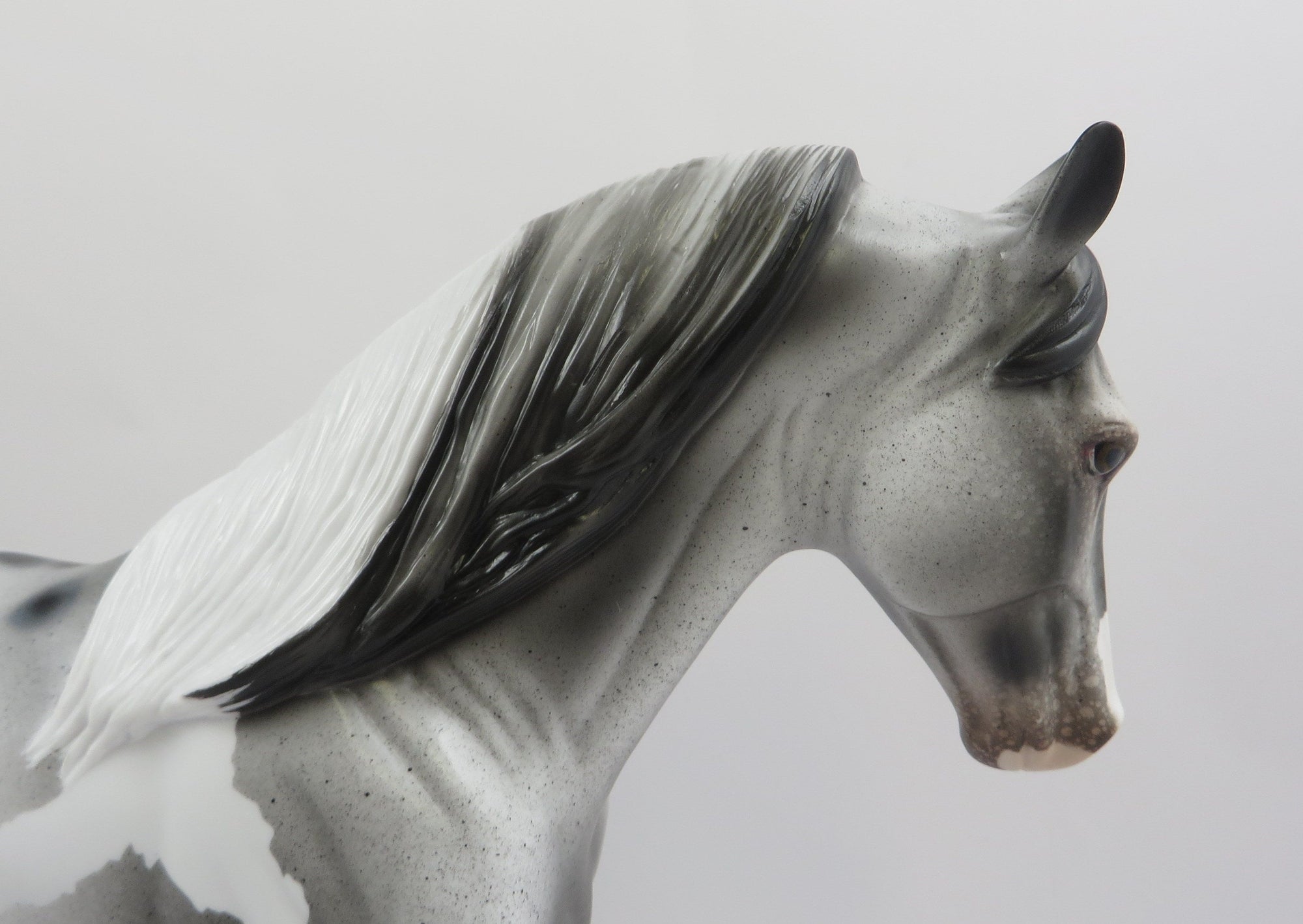 JESTER-OOAK PINTALOOSA TENNESSEE WALKER MODEL HORSE EQ 2019