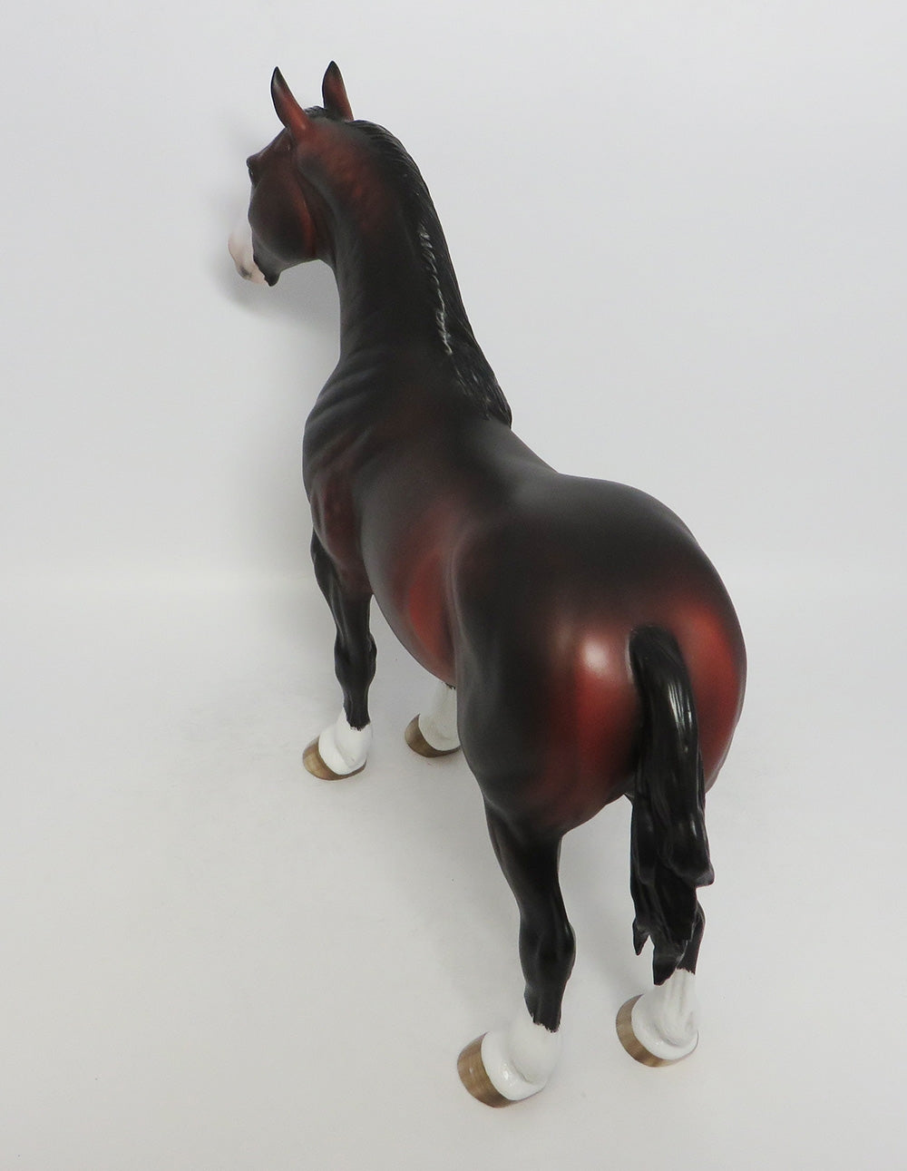 BULL-OOAK MOHOGANY BAY DAPPLE STANDING DRAFT BY SHERYL LESUIRE 9/21/2018