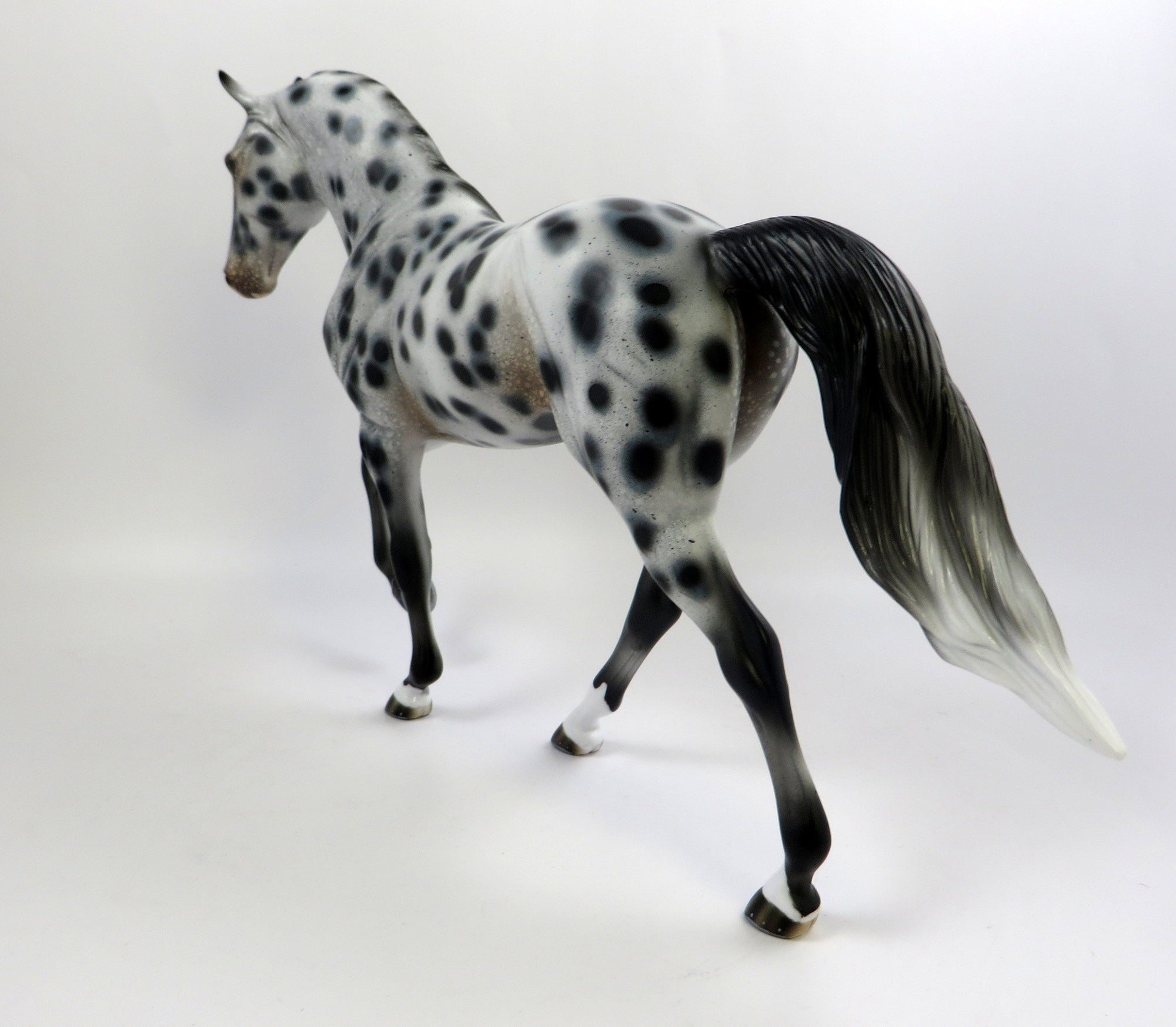 SPOTS GALORE-OOAK LOUD TENNESSEE WALKER 6/14/19