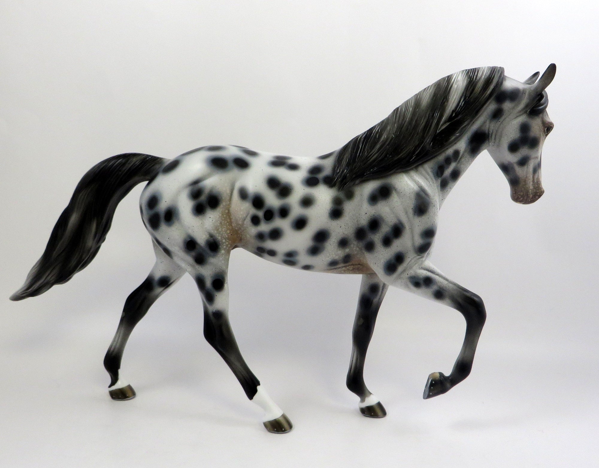 SPOTS GALORE-OOAK LOUD TENNESSEE WALKER 6/14/19
