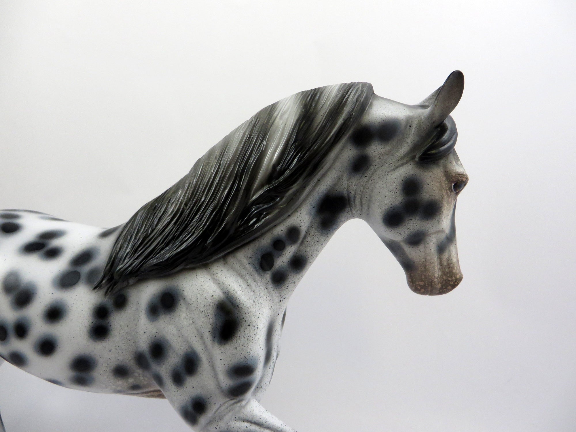 SPOTS GALORE-OOAK LOUD TENNESSEE WALKER 6/14/19