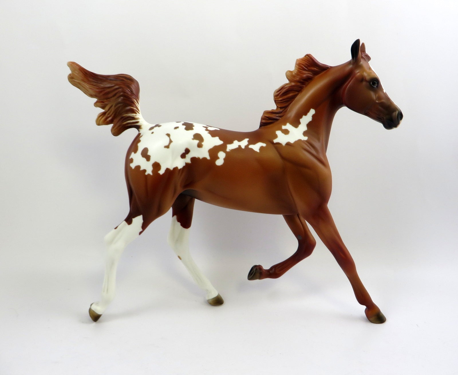 STRAWBERRY HEAVEN-OOAK CHESTNUT APPALOOSA 6/14/19
