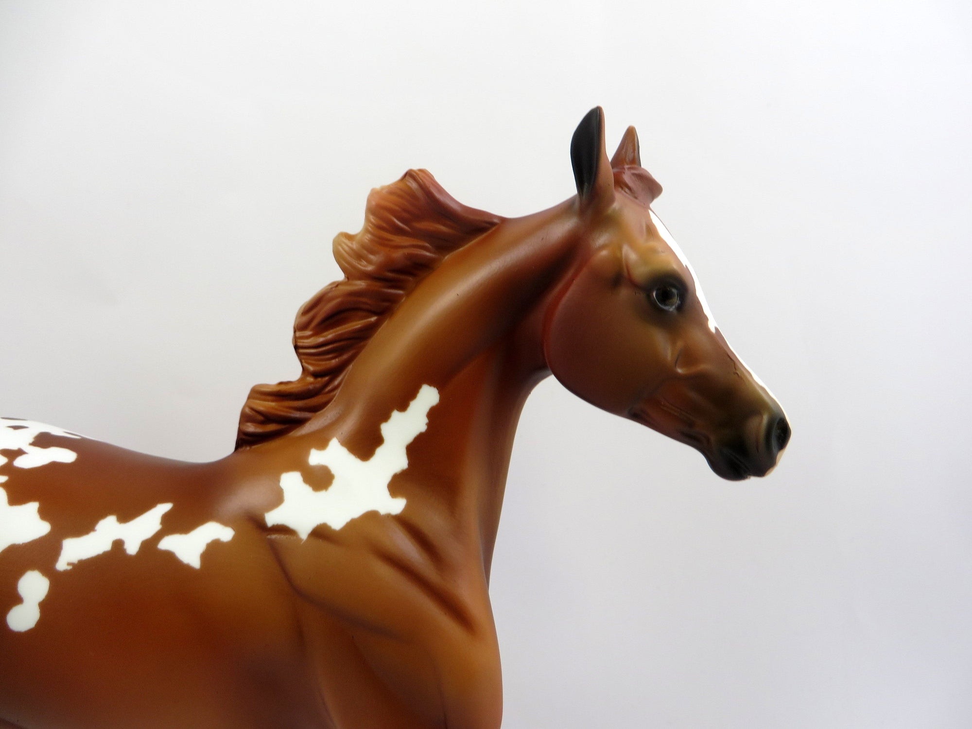 STRAWBERRY HEAVEN-OOAK CHESTNUT APPALOOSA 6/14/19