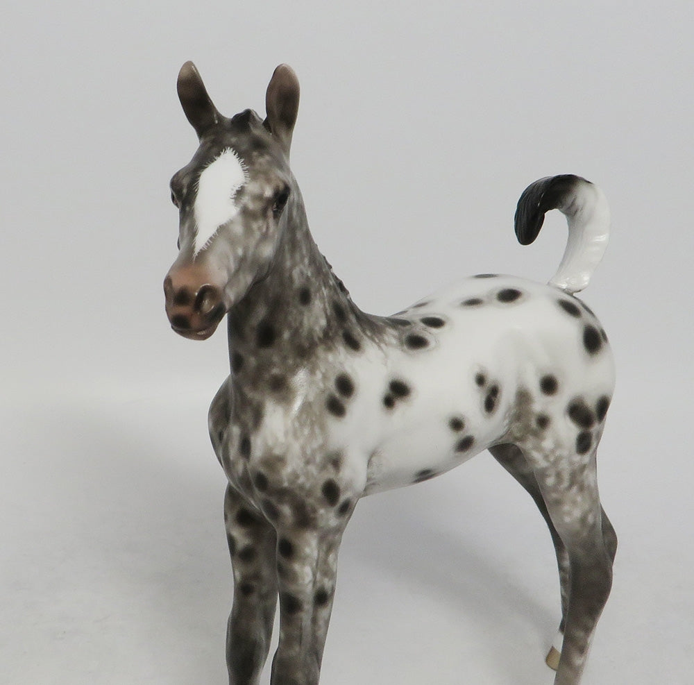 LITTLE SLEEPER-OOAK BLACK APPALOOSA FOAL BY SHERYL LEISURE 9/21/18