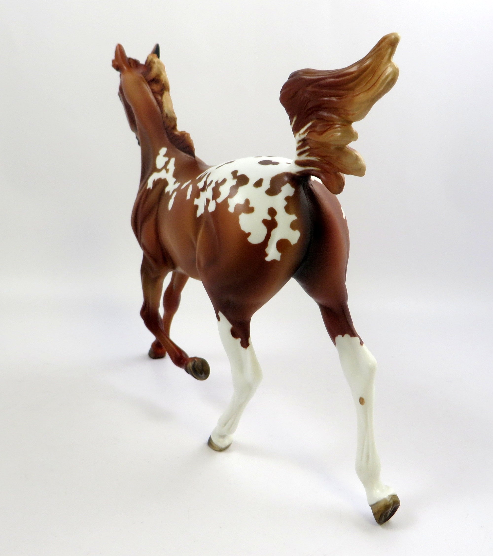 STRAWBERRY HEAVEN-OOAK CHESTNUT APPALOOSA 6/14/19