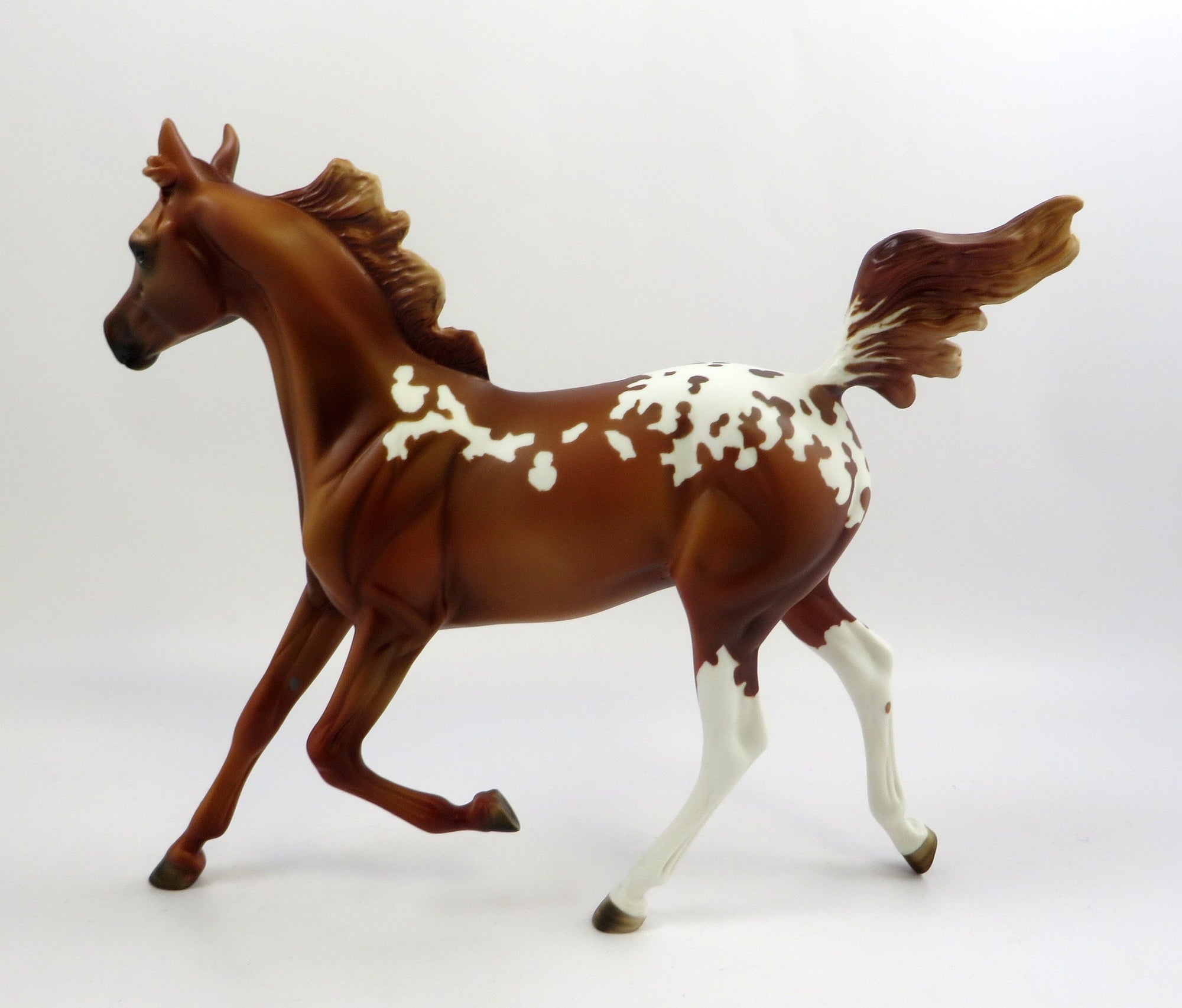STRAWBERRY HEAVEN-OOAK CHESTNUT APPALOOSA 6/14/19