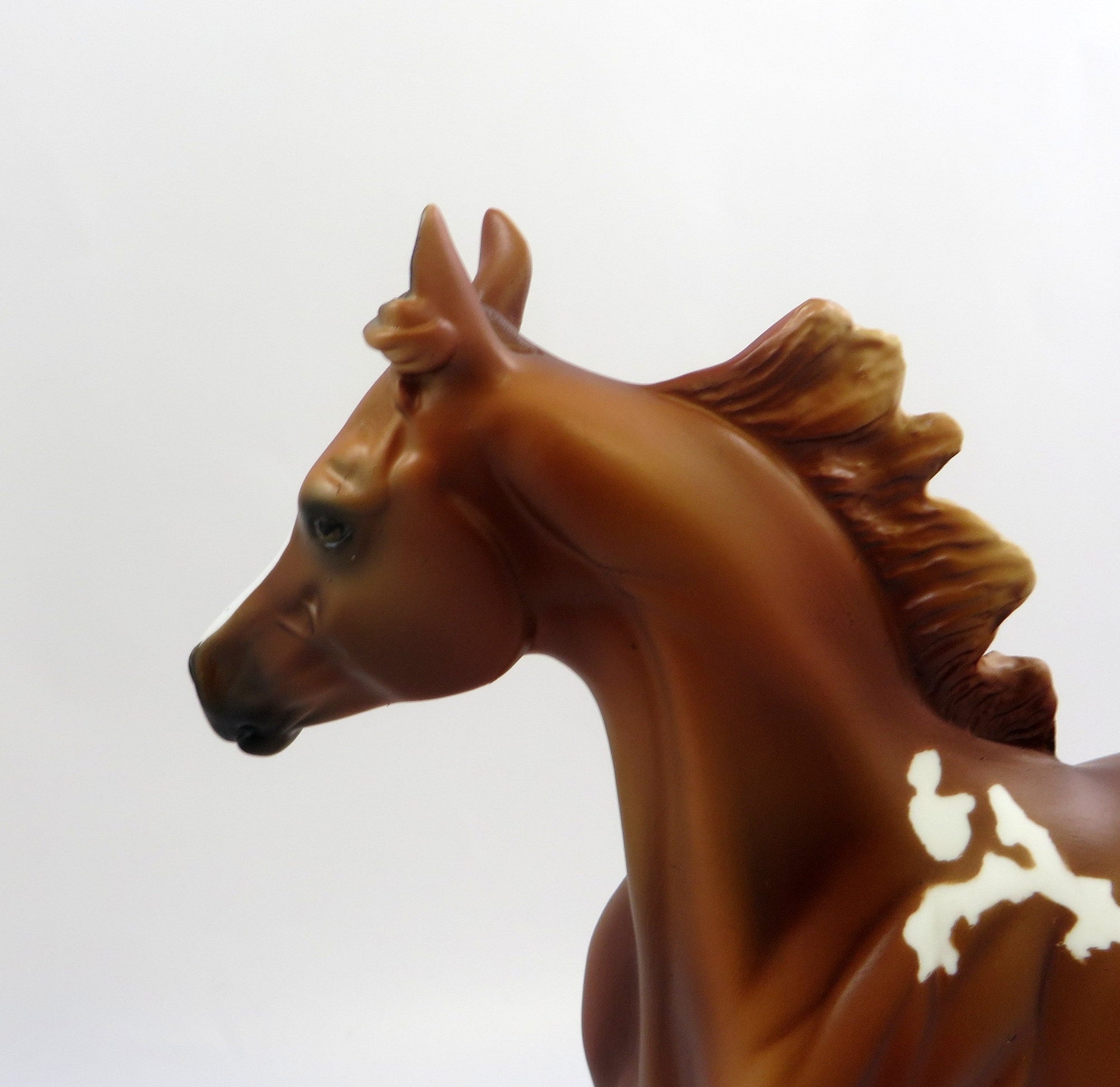 STRAWBERRY HEAVEN-OOAK CHESTNUT APPALOOSA 6/14/19