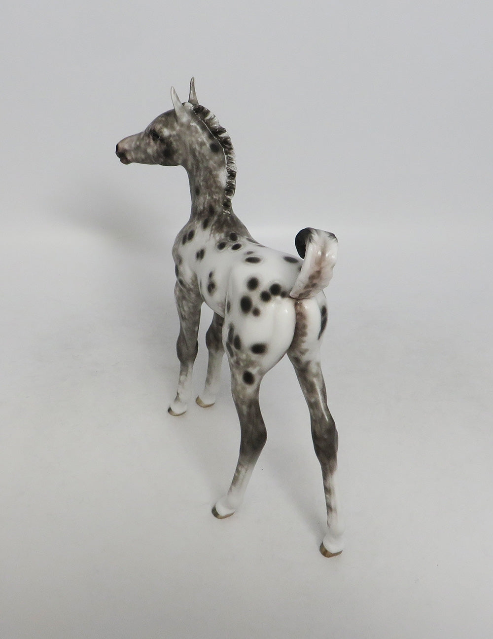 LITTLE SLEEPER-OOAK BLACK APPALOOSA FOAL BY SHERYL LEISURE 9/21/18