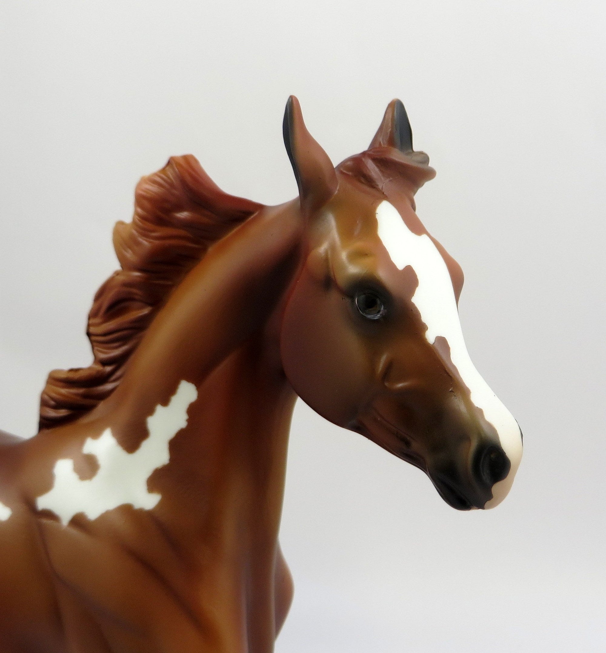 STRAWBERRY HEAVEN-OOAK CHESTNUT APPALOOSA 6/14/19