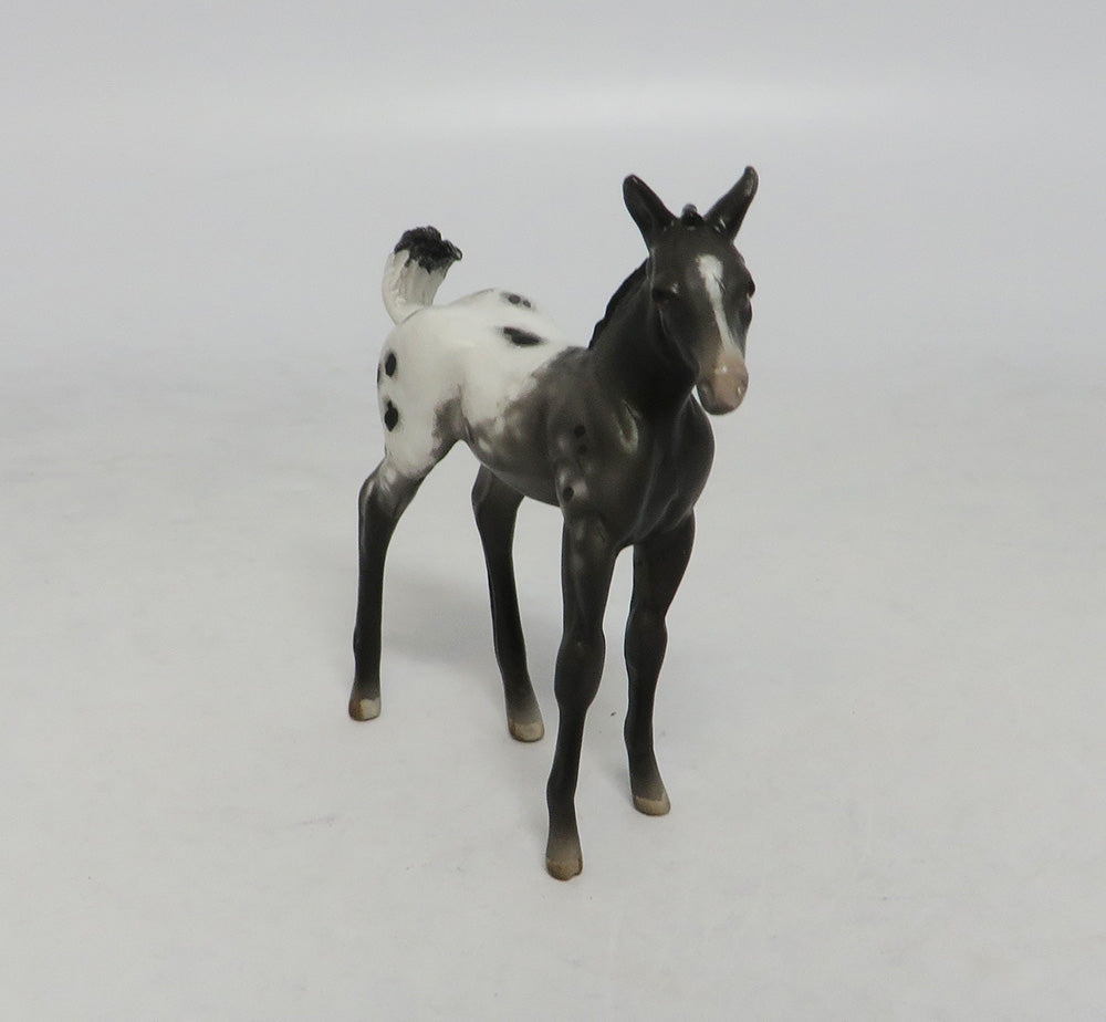 BLACK WONDER-OOAK APPALOOSA FOAL CHIP LHS 2018