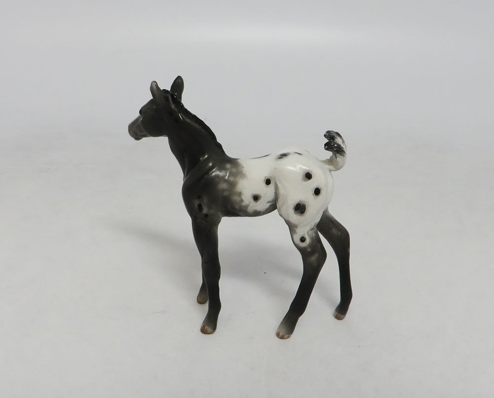 BLACK WONDER-OOAK APPALOOSA FOAL CHIP LHS 2018