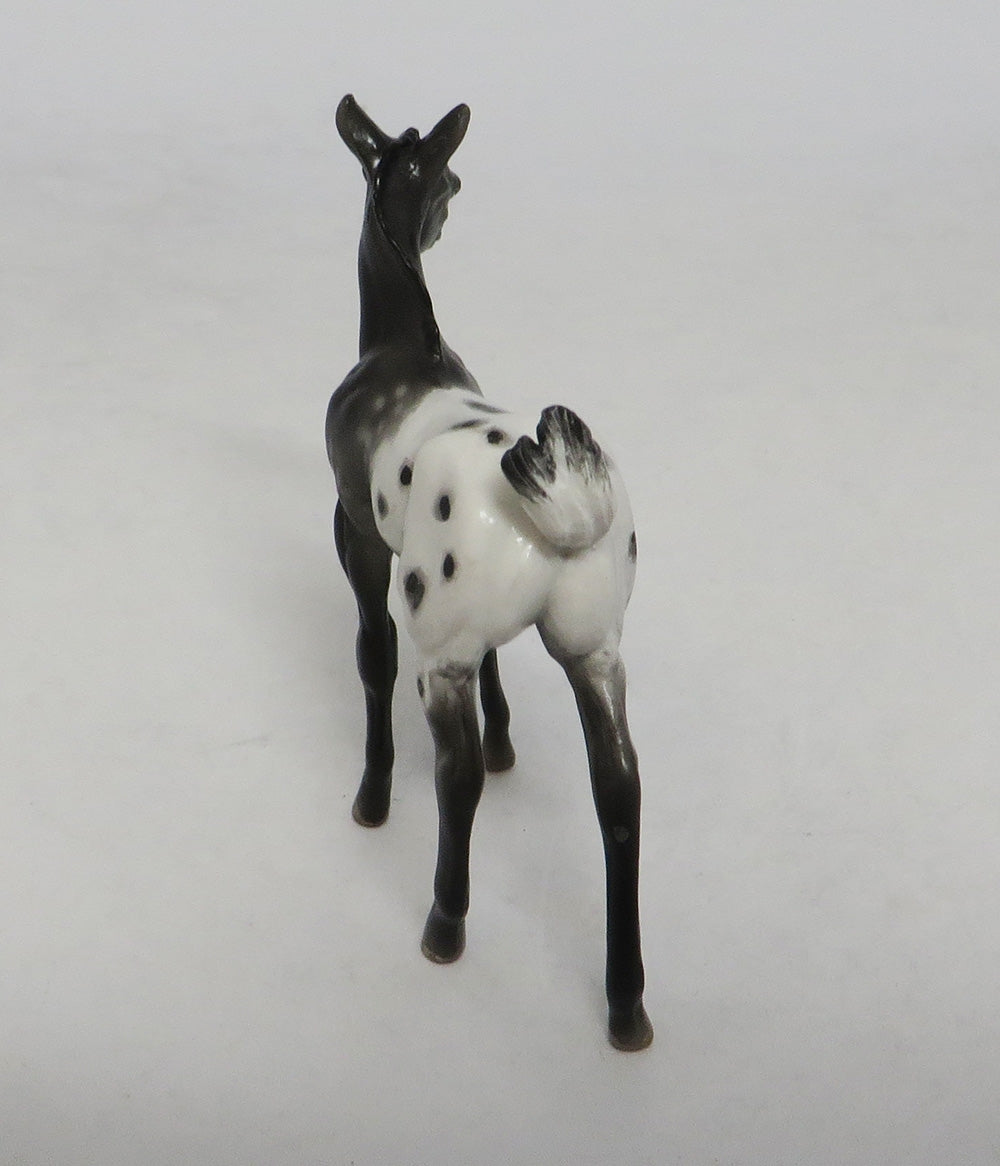BLACK WONDER-OOAK APPALOOSA FOAL CHIP LHS 2018