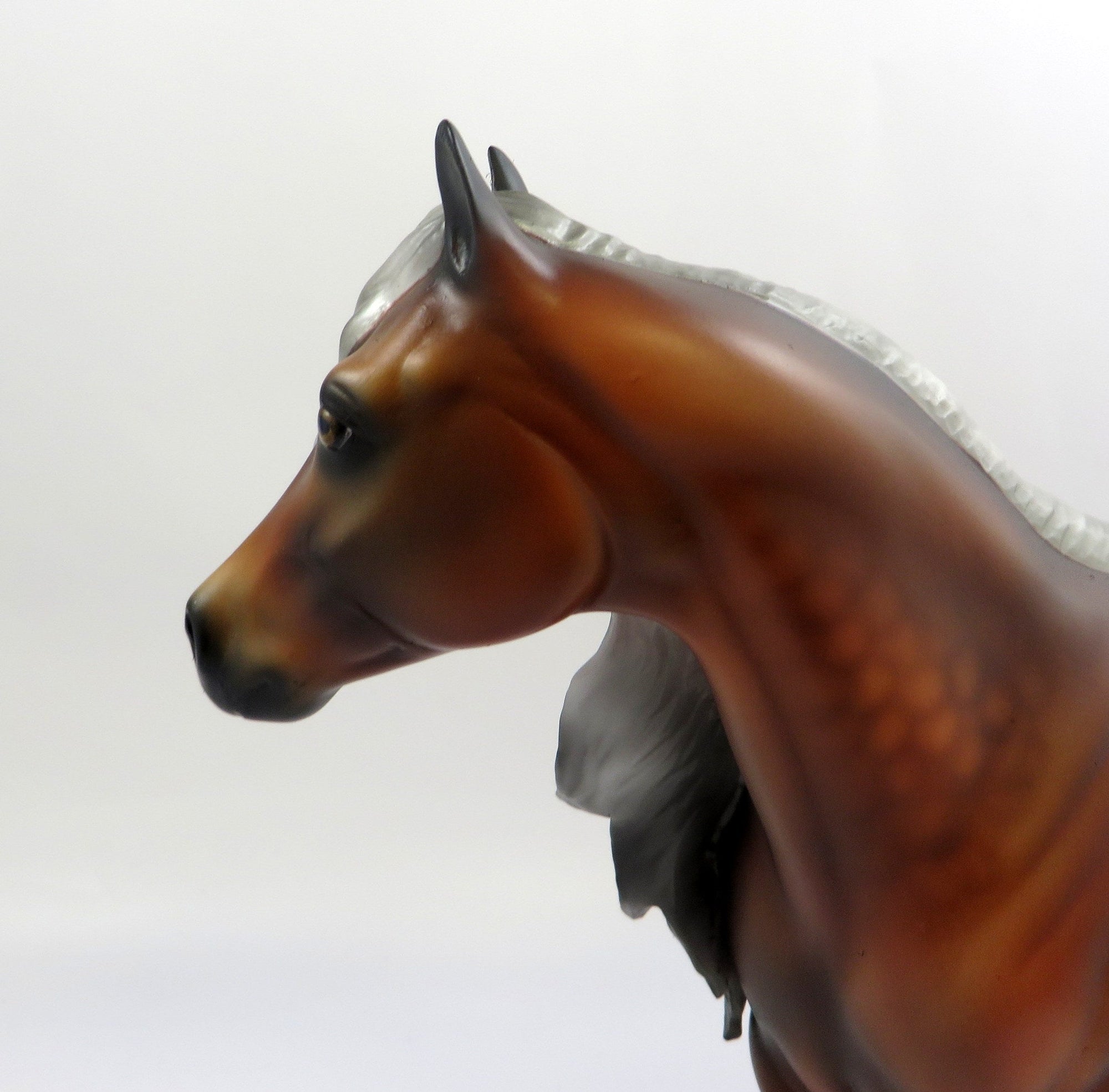 WARRIOR SOUL-OOAK DAPPLE SILVER BAY ISH MODEL HORSE 6/14/19