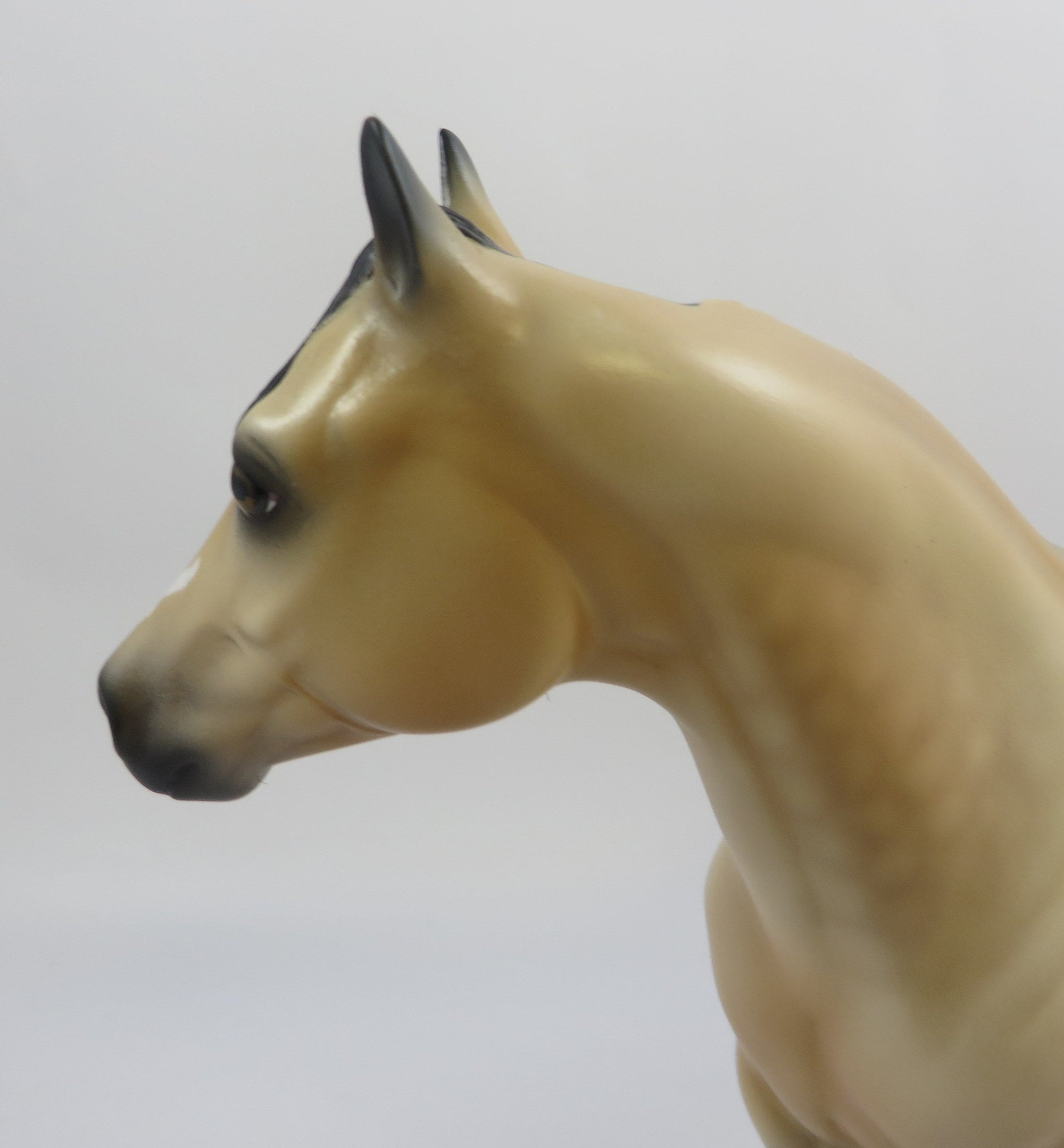 CASH ME OUTSIDE-OOAK DAPPLE BUCKSKIN ISH MODEL HORSE 6/14/19