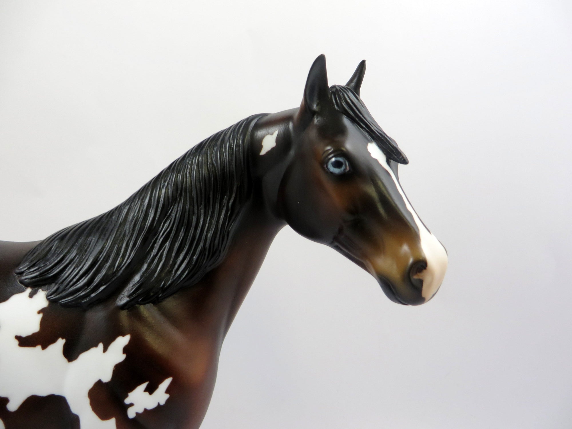 PAYDAY - OOAK BAY PINTO ISH MODEL HORSE 6/14/19