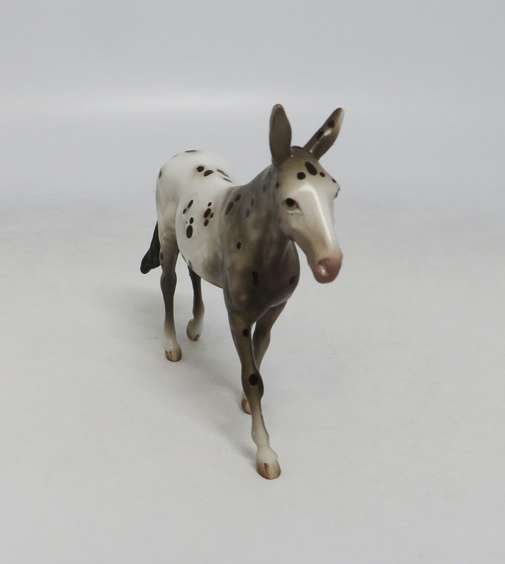 LOLLIPOP-OOAK BROWN APPALOOSA MULE CHIP LHS 2018