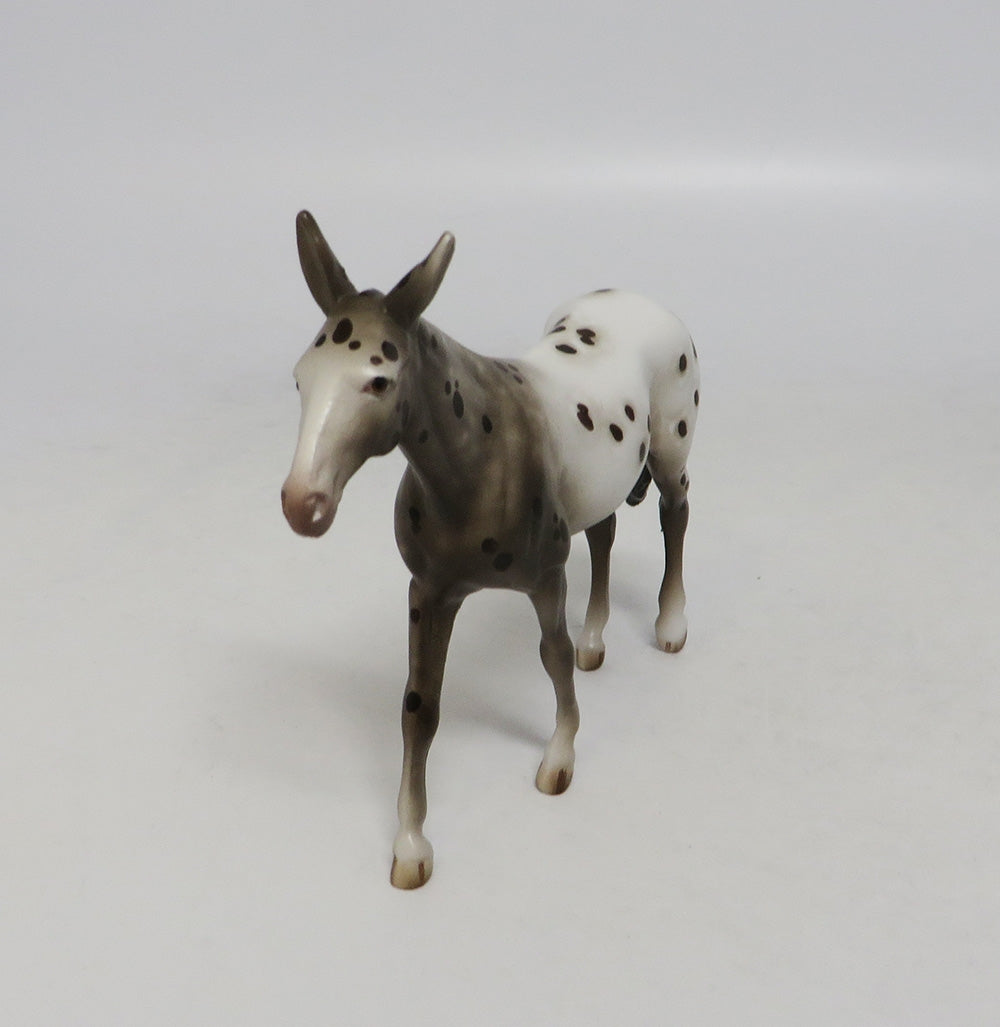 TOPE-OOAK APPALOOSA MULE CHIP LHS 2018