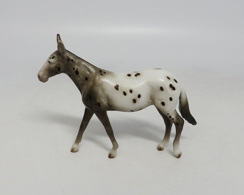 TOPE-OOAK APPALOOSA MULE CHIP LHS 2018