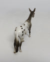 LOLLIPOP-OOAK BROWN APPALOOSA MULE CHIP LHS 2018