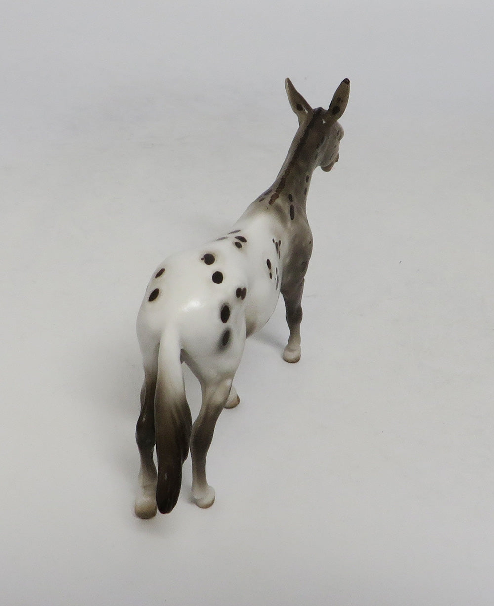TOPE-OOAK APPALOOSA MULE CHIP LHS 2018