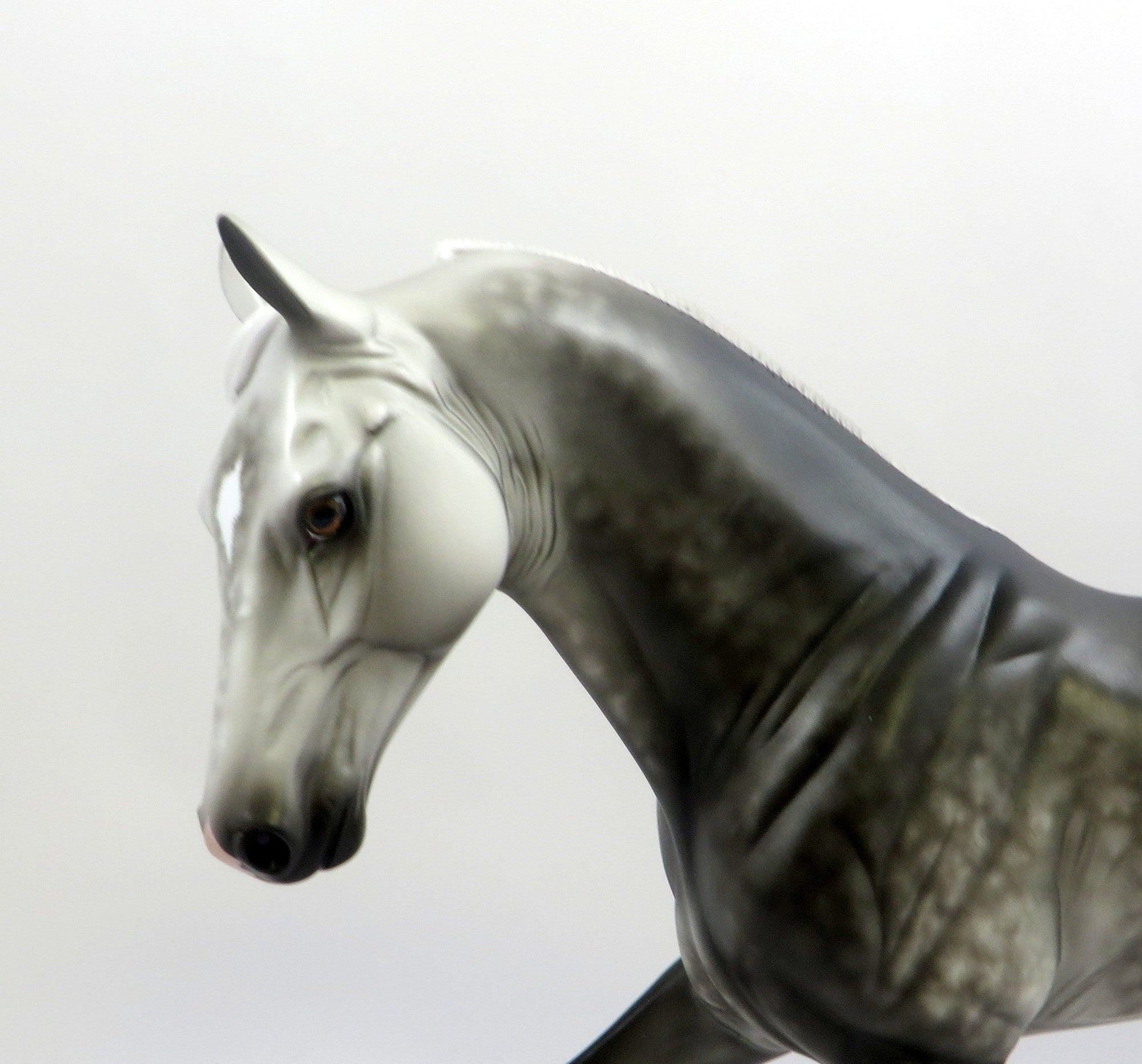 CORSUSCANT-OOAK STAR DAPPLE GREY TENNESSEE WALKER MODEL HORSE EQ 2019