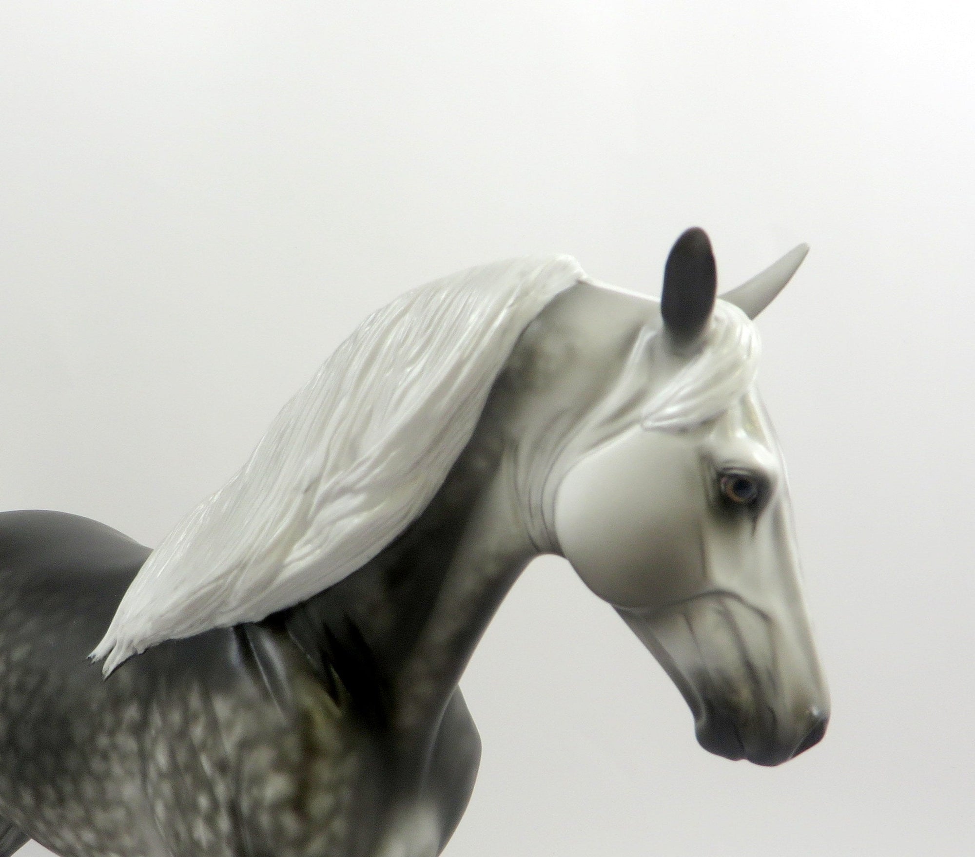CORSUSCANT-OOAK STAR DAPPLE GREY TENNESSEE WALKER MODEL HORSE EQ 2019